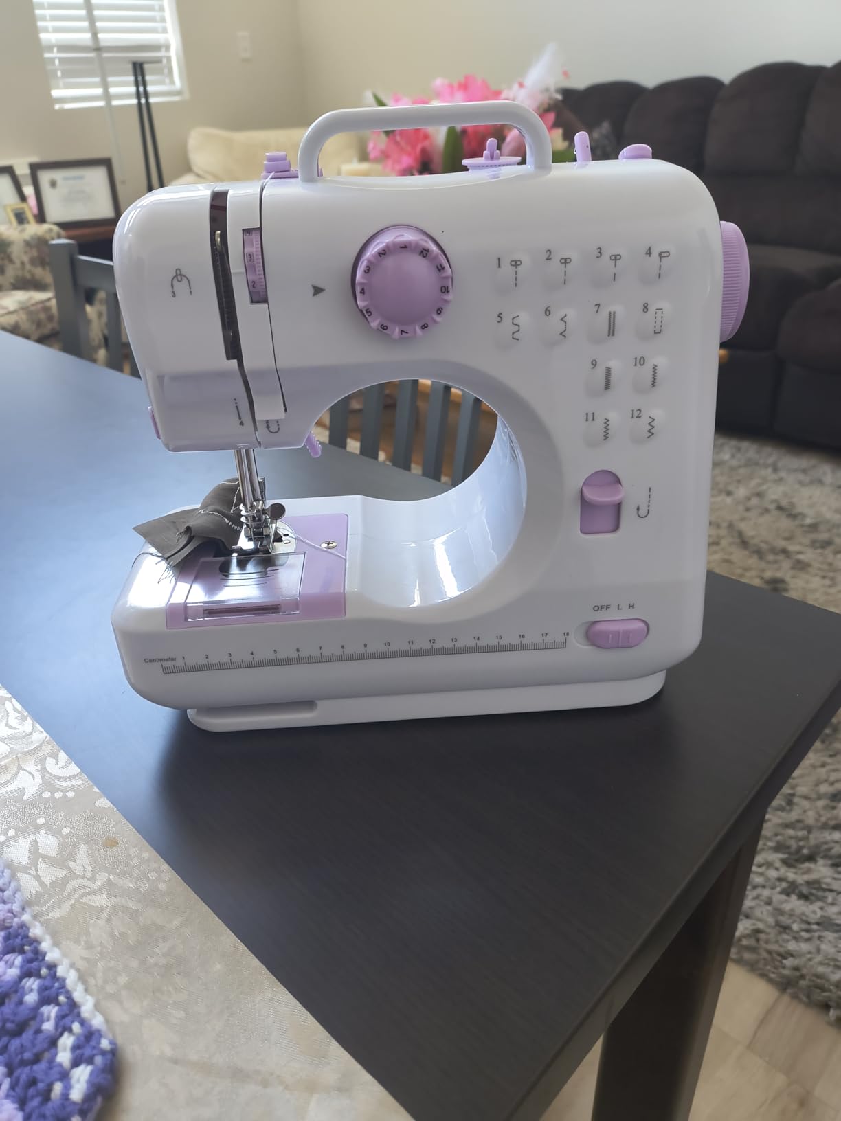 rxmeili Sewing Machine Portable mini Electric Sewing Machine for beginners 12 Built-in Stitches 2 Speed with Foot Pedal, Light, Storage Drawer. customer photo 1