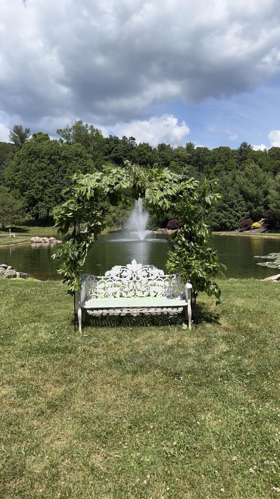 VINGLI Garden Arbor, Arch Archway for Wedding Ceremony Party, Steel Garden Trellis for Plant Climbing, Christmas Decorations Pergola for Backyard, Lawn (Black) customer photo 2