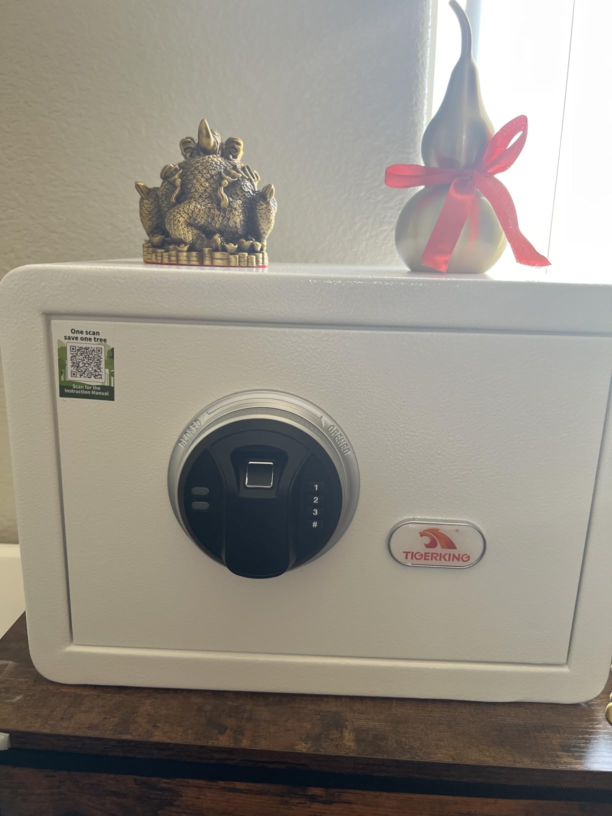 TIGERKING Biometric Home Safe, 20 lb Alloy Steel Construction, Fingerprint Access and 3-Button Electronic Combination Lock for Jewelry, Cash and Passports, White customer photo 1