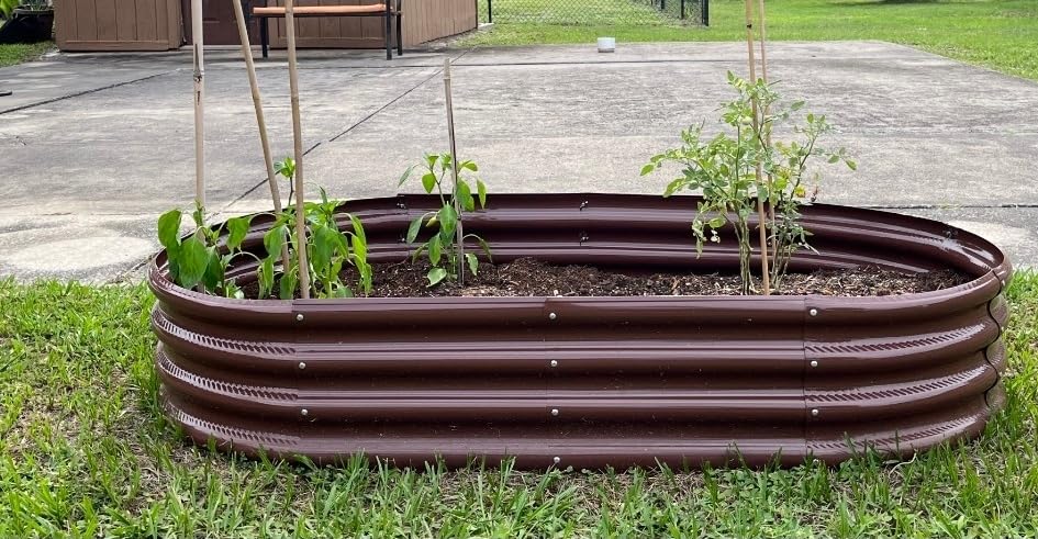 Rakukiri Raised Garden Bed GRS Certified Galvanized Planter Box Outdoor, 5ft Oval Rot-Resistant Metal Garden Bed Planter, Recycled Material Planter for Vegetables Flowers Herbs (Silver) customer photo 1