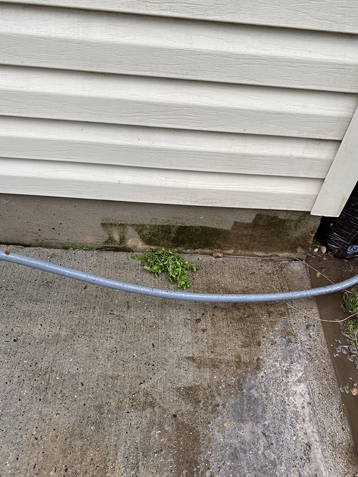 CRAFTSMAN Electric Pressure Washer, Cold Water, 2400-PSI, 1.1-GPM, Corded (CMEPW2400) customer photo 2