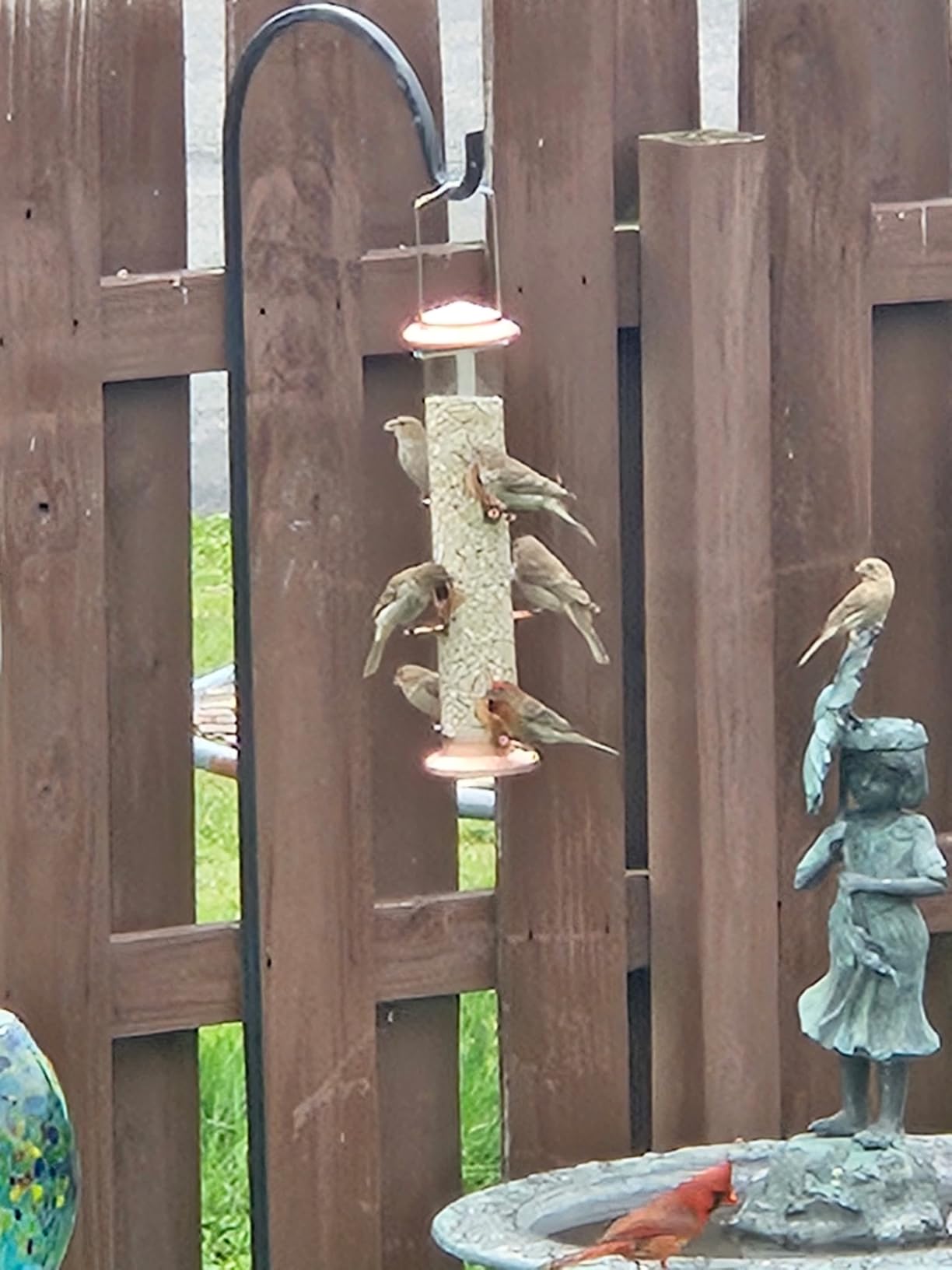 iBorn Metal Bird Feeders Brushed Copper Wild Bird Feeder for Outdoors Hanging All Metal Brushed Copper Finishing 15 Inch 6 Port(Seed is not Included) customer photo 1