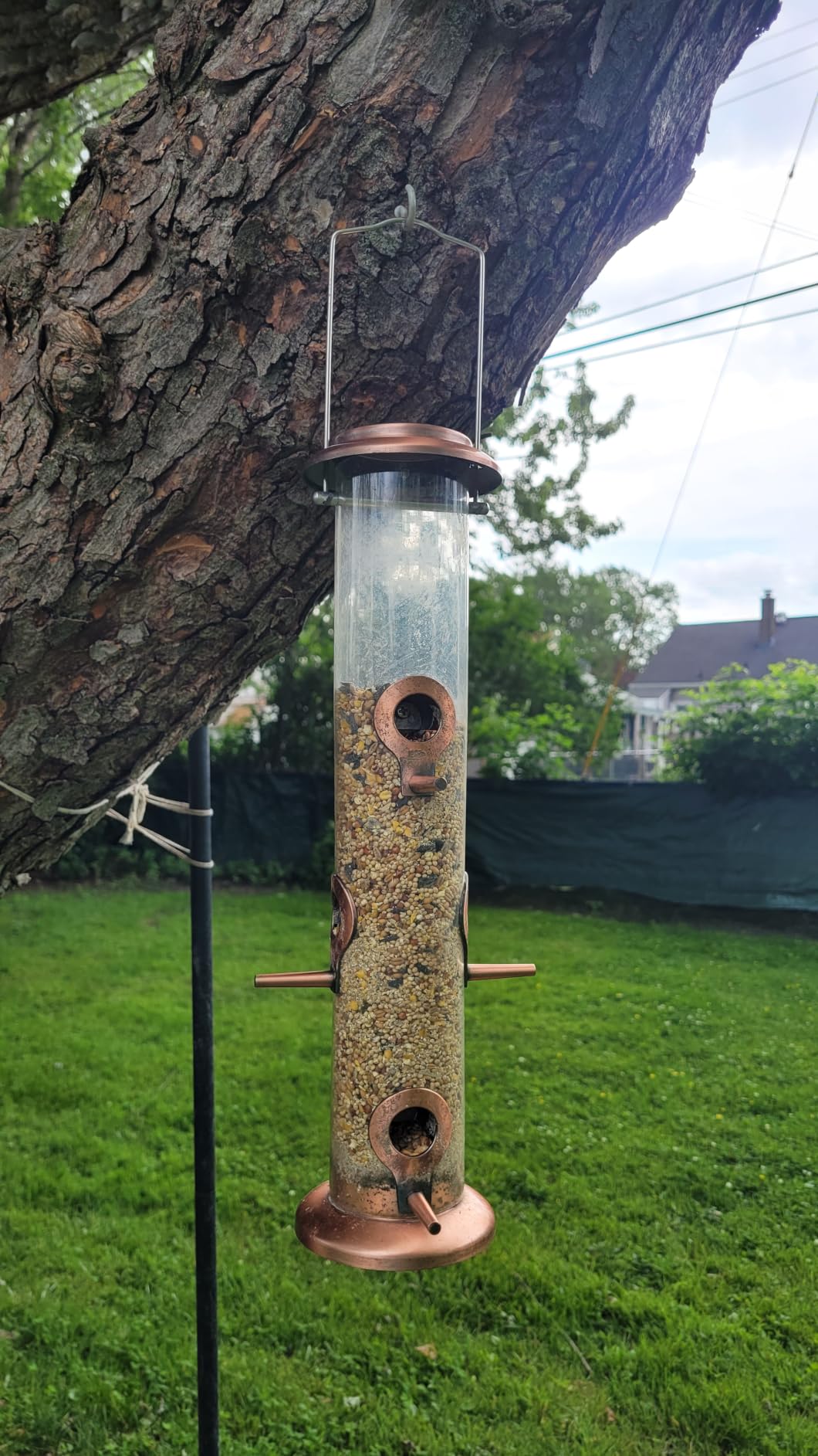 iBorn Metal Bird Feeders Brushed Copper Wild Bird Feeder for Outdoors Hanging All Metal Brushed Copper Finishing 15 Inch 6 Port(Seed is not Included) customer photo 2