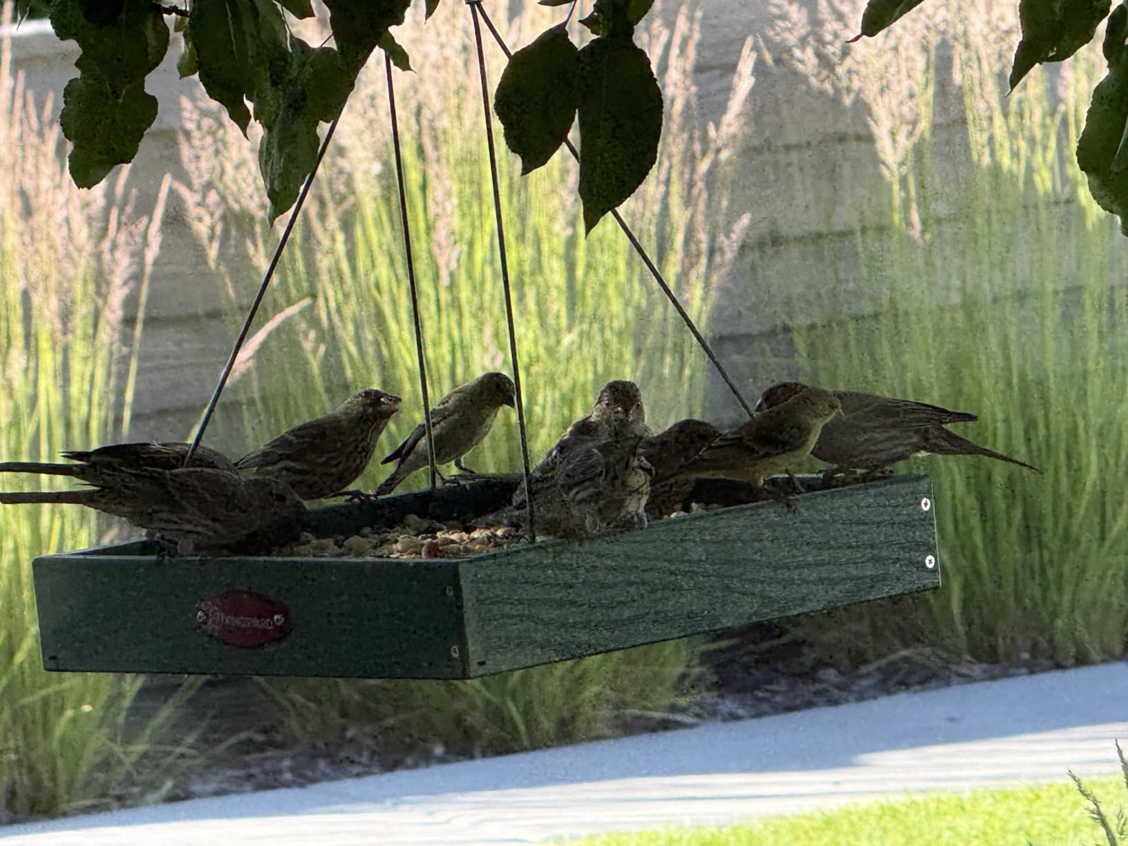 Kingsyard Platform Bird Feeder for Outdoors, Hanging Feeding Tray | Recycled Poly Lumber, Weatherproof, 11x11 Tray, Holds up to 3 lbs Seeds or Mealworms, Easy Clean & Refill, Green customer photo 2