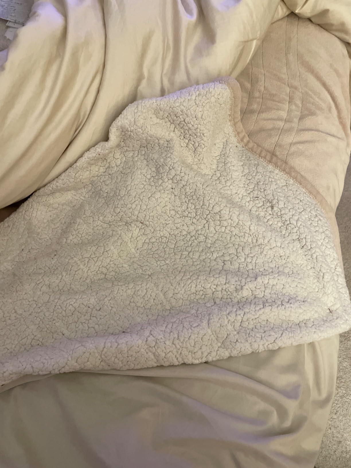 Sealy Heated Electric Blanket Full Size, Flannel & Sherpa Heating Blanket with 10 Heating Levels & 1-12 Hours Auto Shut Off, Fast Heating Blanket, Machine Washable, Grey, 80 x 84 Inch customer photo 1