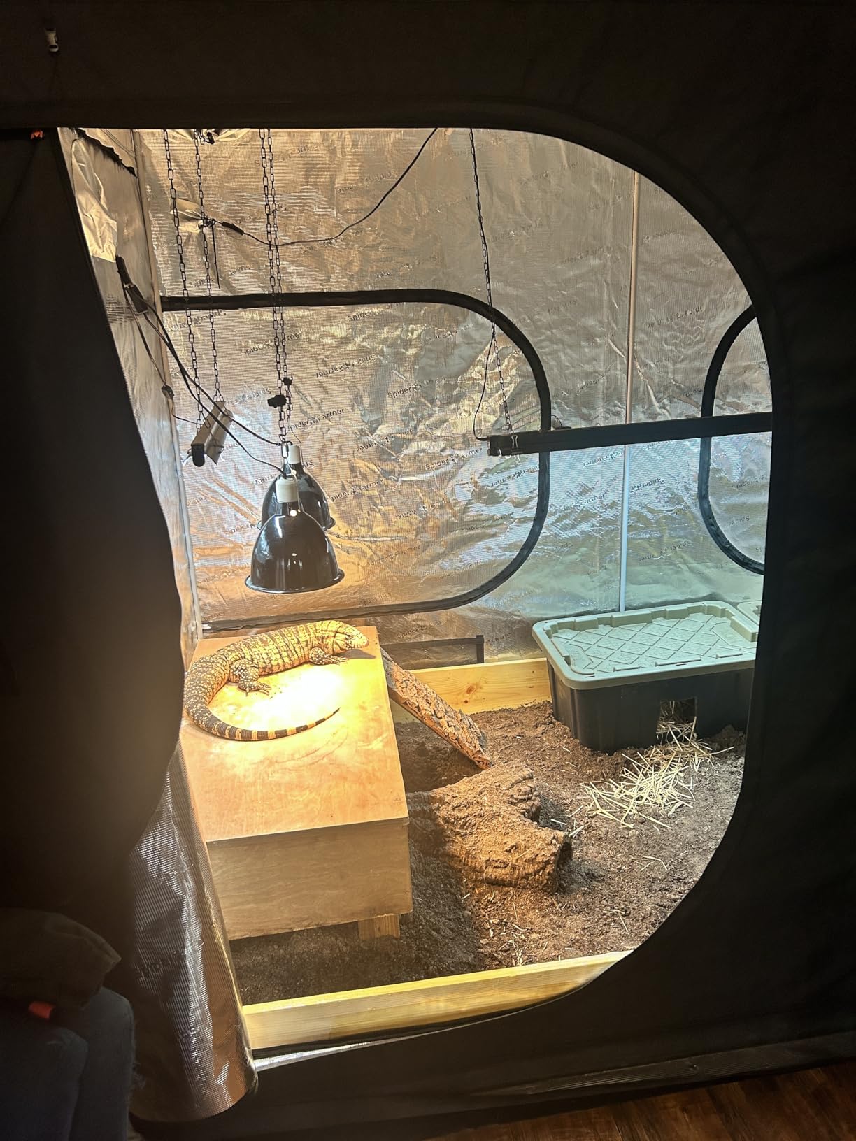Spider Farmer 2x2x6 Grow Tent 2025 New, 24