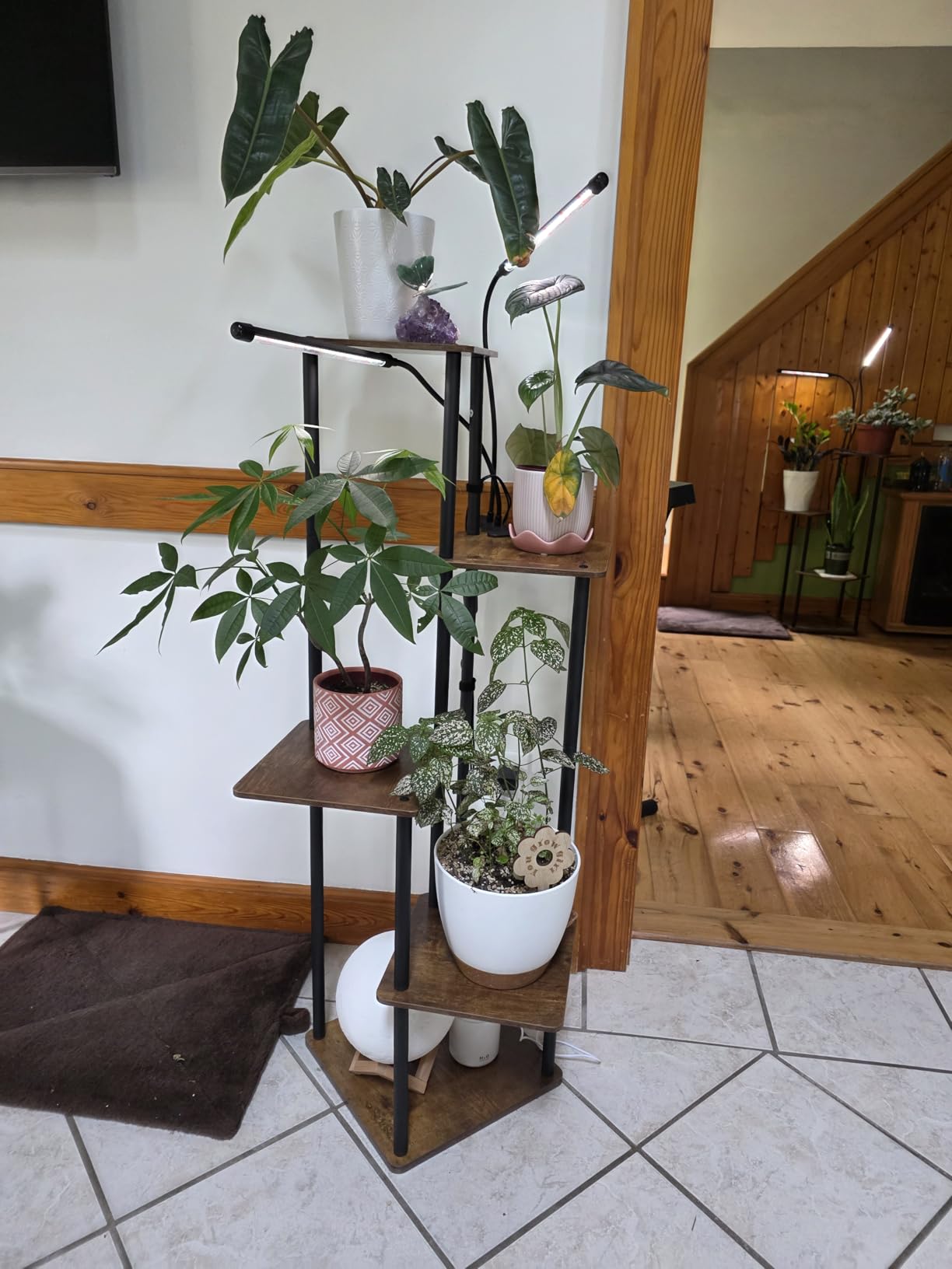 AZERPIAN Plant Stand 5 Tier Indoor Metal Flower Shelf for Multiple Plants Corner Tall Flower Holders for Patio Garden Living Room Balcony Bedroom, Black (5 Tier-Black) customer photo 2