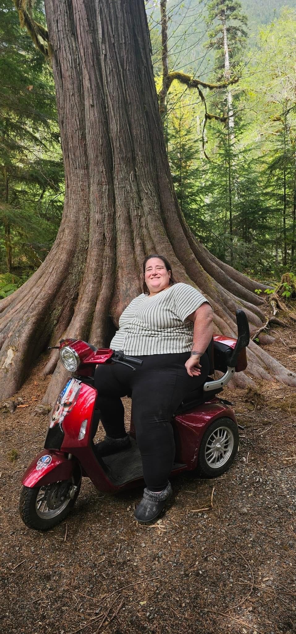Heavy Duty 3 Wheel Mobility Scooters for Seniors & Adults 500lbs Capacity - Electric Powered Wheelchair Device - 800W All Terrain Fast Mobility Scooter for Outdoor w/Long Range Battery Romote Key customer photo 2