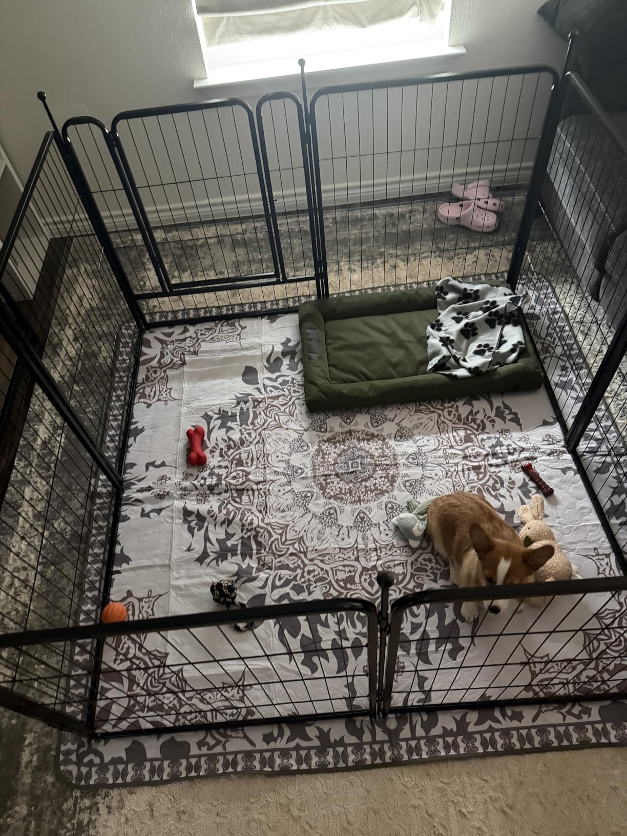 FXW Rollick Dog Playpen, Indoor, Yard & RV Camping, 40