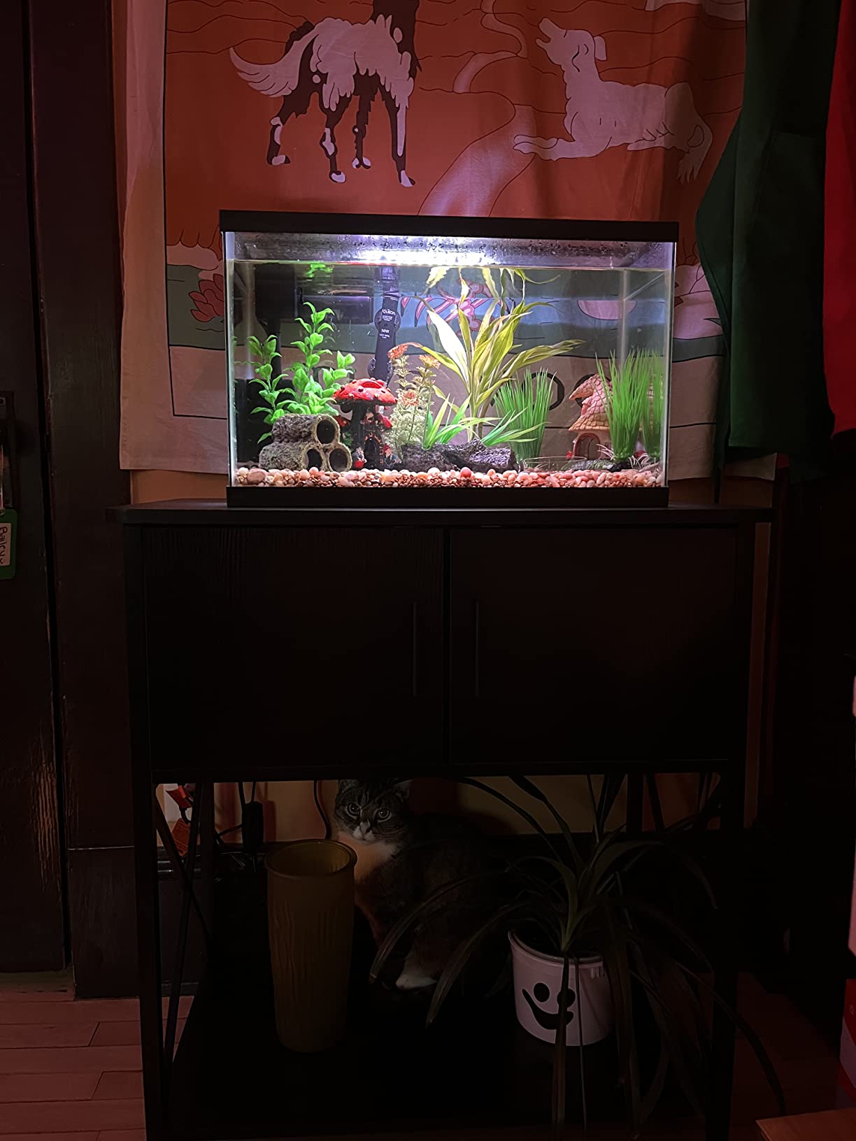 20 Gallon Fish Tank Stand, Metal Aquarium Stand 20 Gallon with Cabinet Storage, 28.7