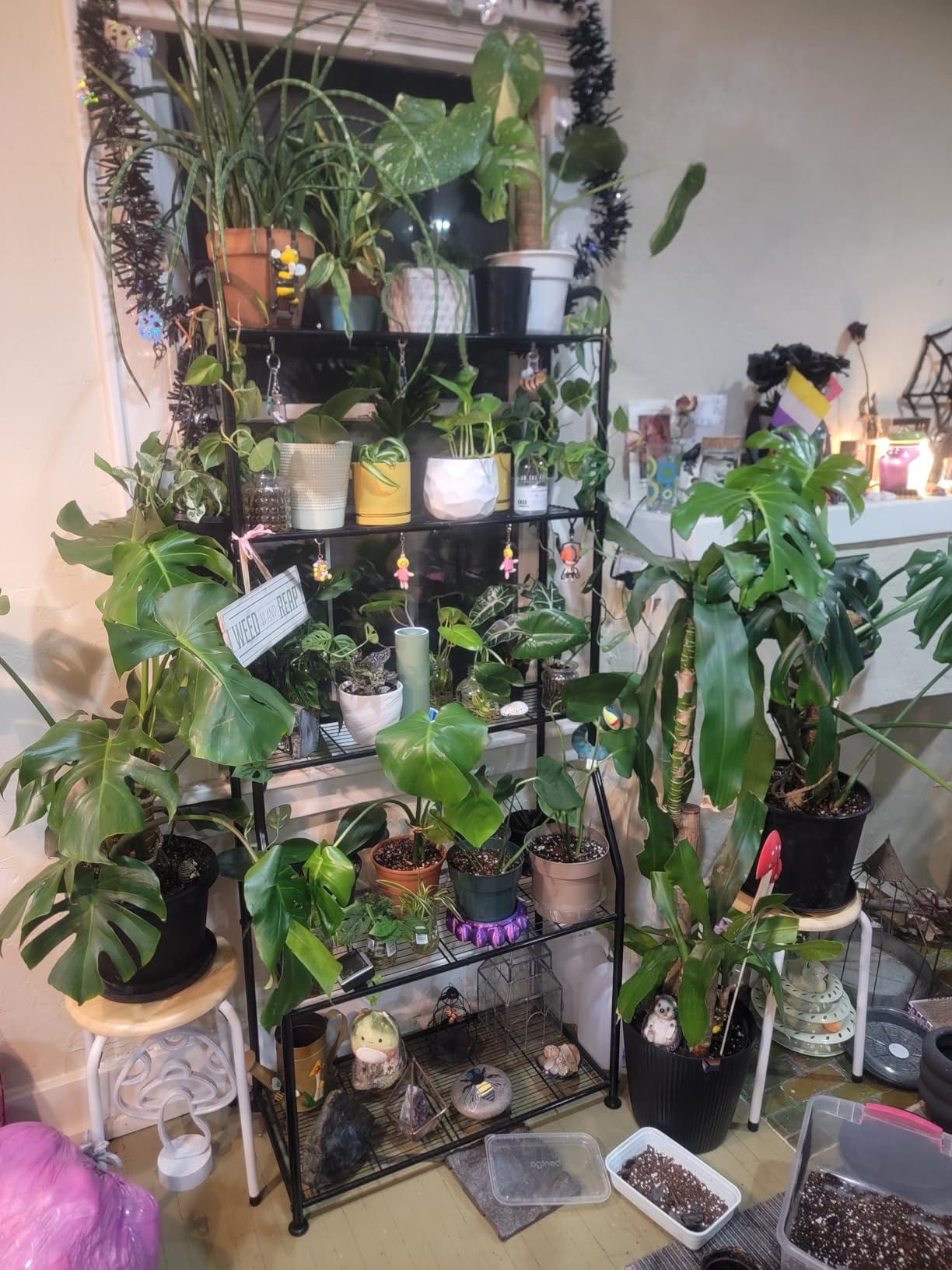 Simple Trending Plant Stand Outdoor Indoor 3 Tier Metal Waterproof Plant Shelf for Living Room Balcony Garden customer photo 1
