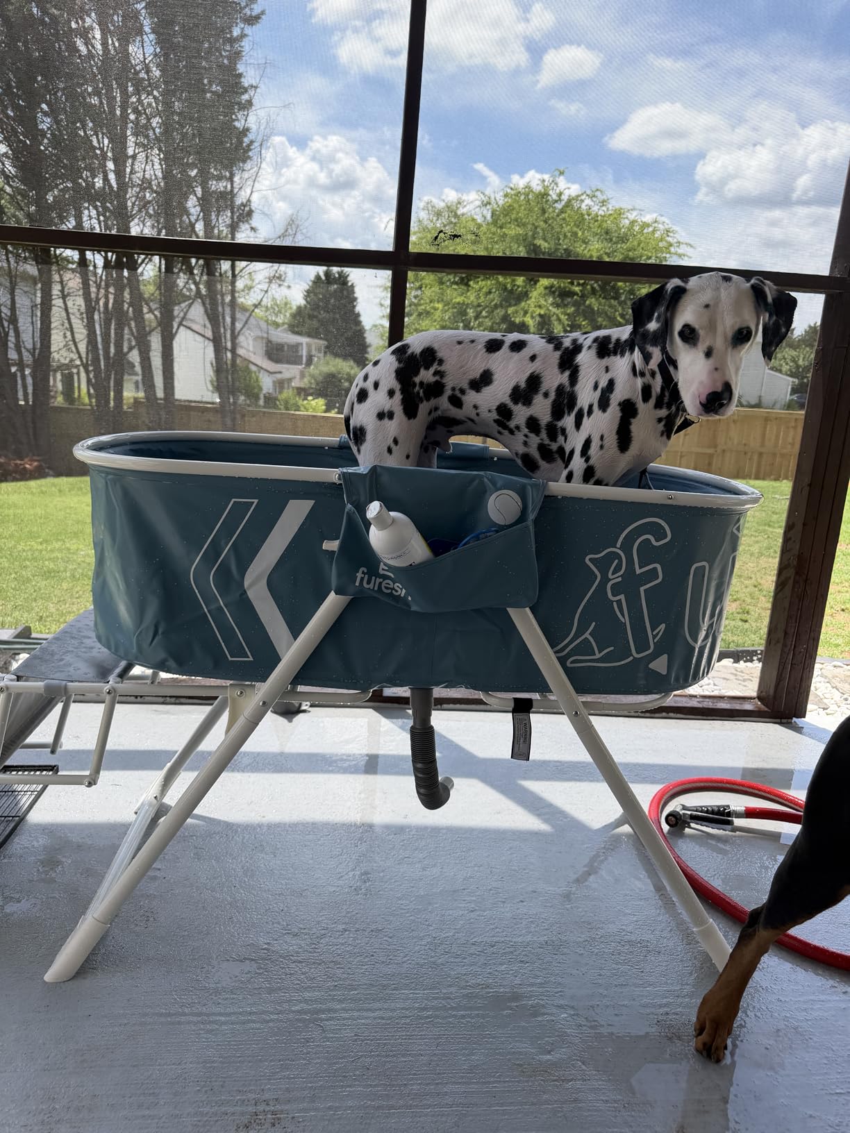 Furesh Big Dipper Dog Bath Tub with Stairs, Elevated Portable Foldable Wash Station with Steps for Bathing, Shower and Grooming, Indoor, Outdoor, for Medium to Large Size Dogs customer photo 1