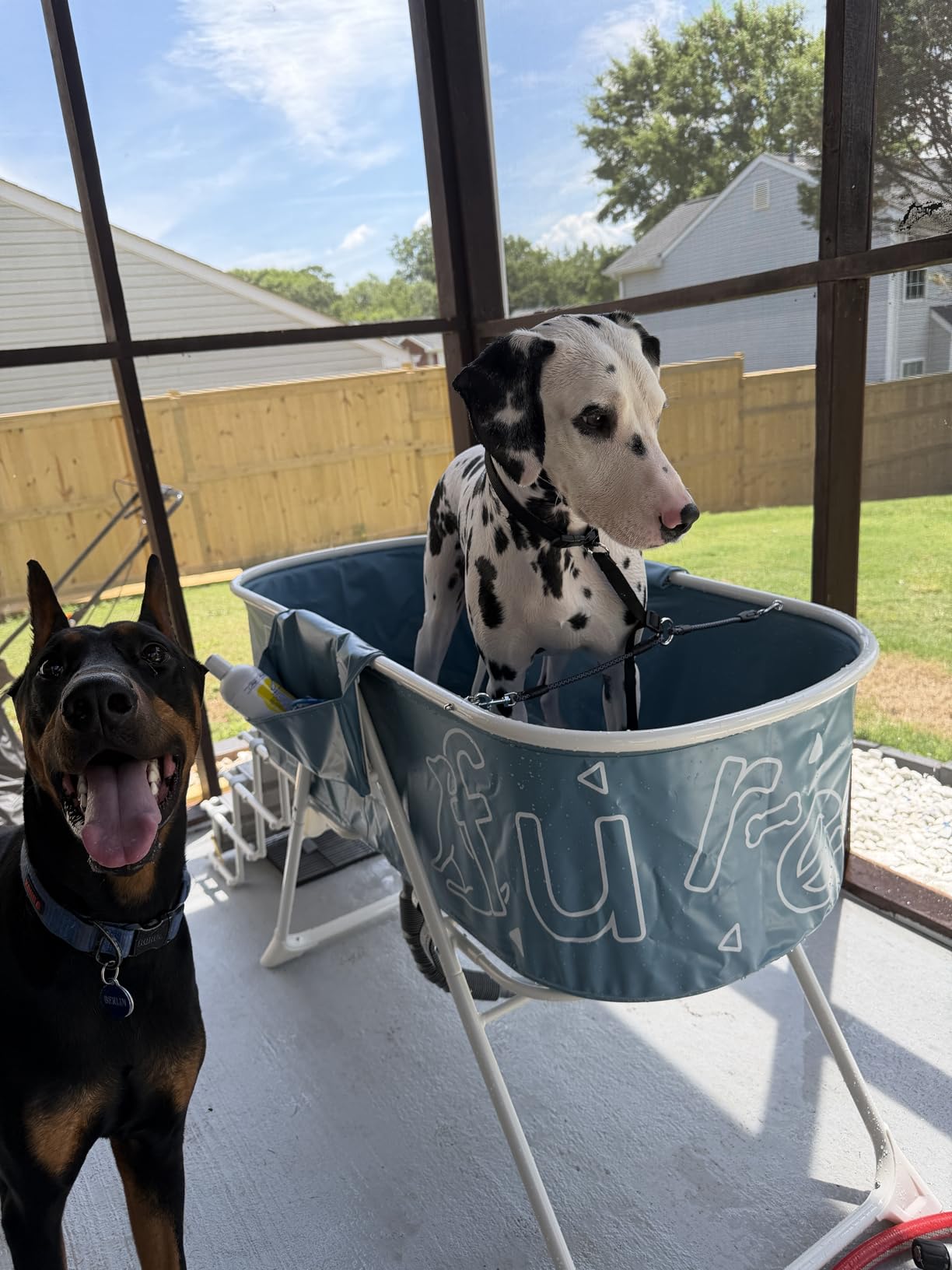Furesh Big Dipper Dog Bath Tub with Stairs, Elevated Portable Foldable Wash Station with Steps for Bathing, Shower and Grooming, Indoor, Outdoor, for Medium to Large Size Dogs customer photo 2