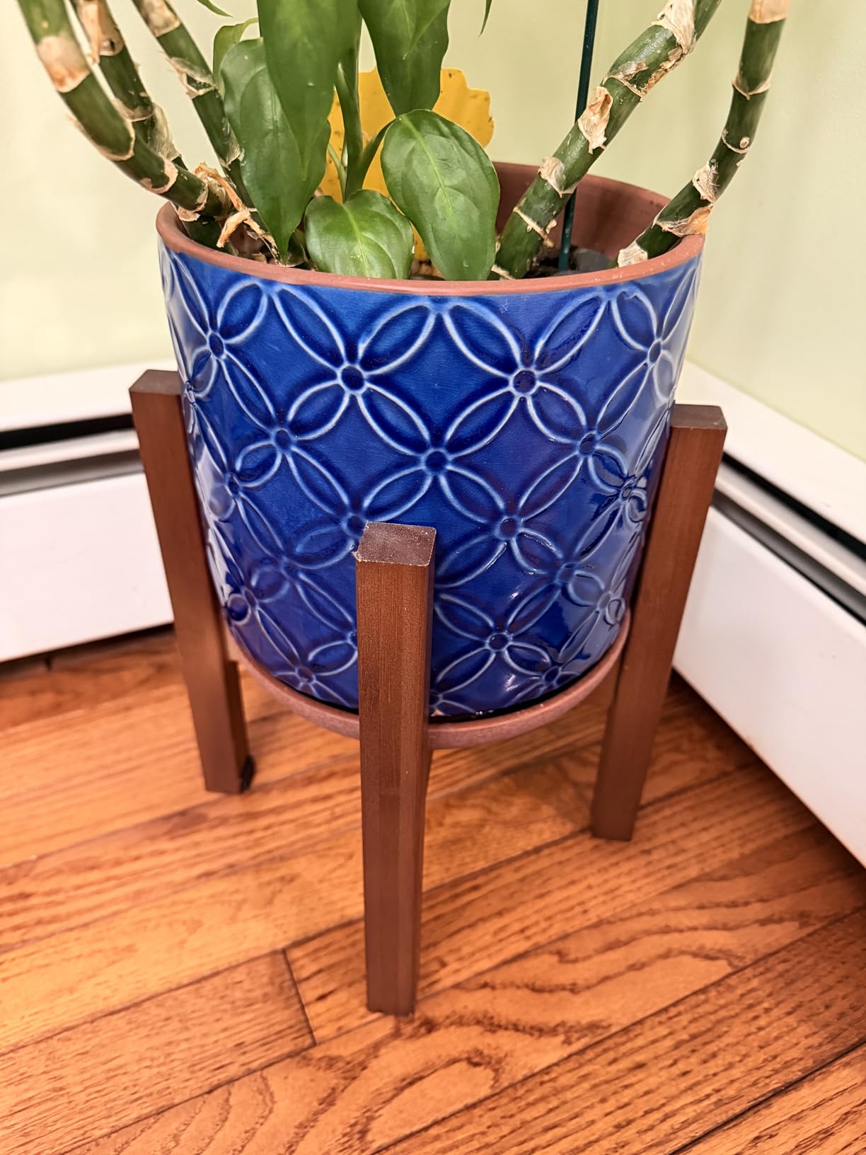 Rnined Adjustable Plant Stand Indoor, Bamboo Mid Century Modern Plants Stands, Stable Plant Holder, Fit 8 9 10 11 12 inch Pots (Pot & Plant Not Included) customer photo 1