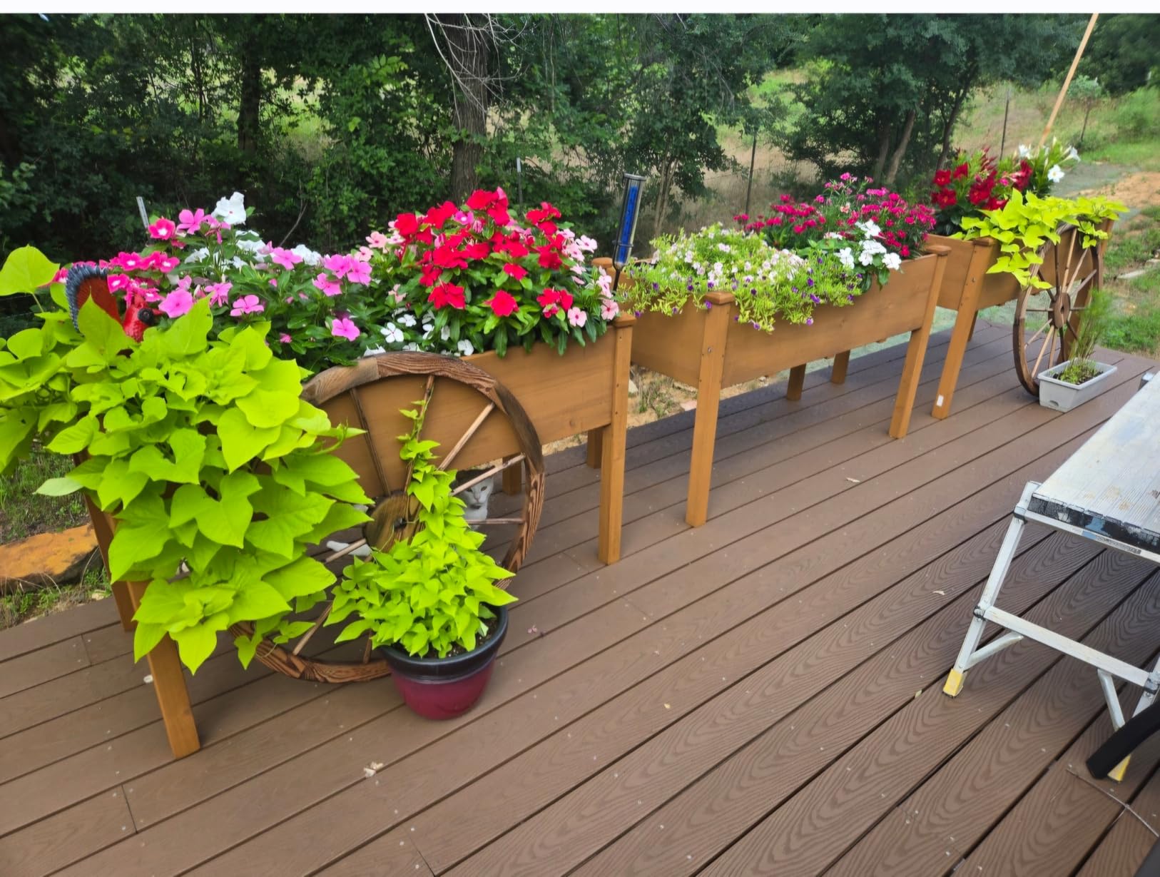 Best Choice Products 72x24x30in Raised Garden Bed, Elevated Wood Planter Box Stand for Backyard, Patio, Balcony w/Divider Panel, 6 Legs, 300lb Capacity - Acorn Brown customer photo 1