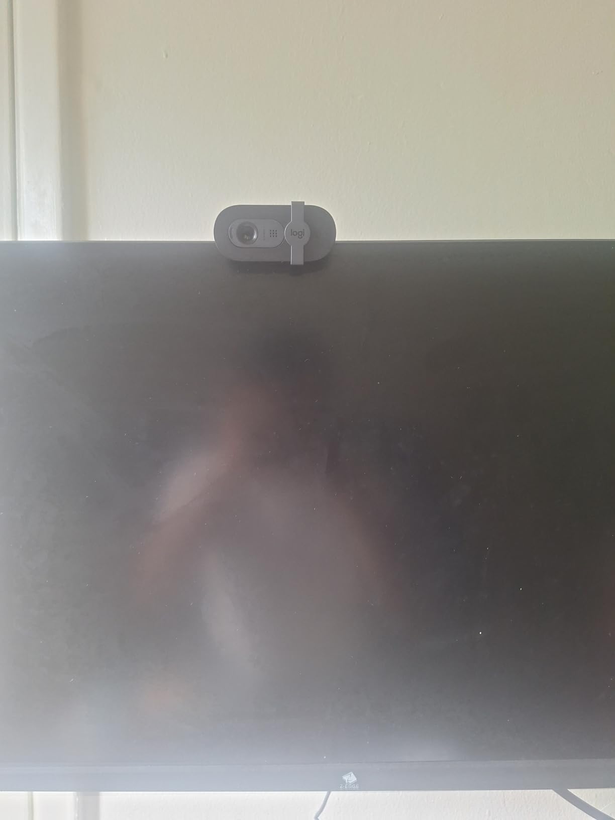Logitech Brio 101 Full HD 1080p Webcam customer photo 2