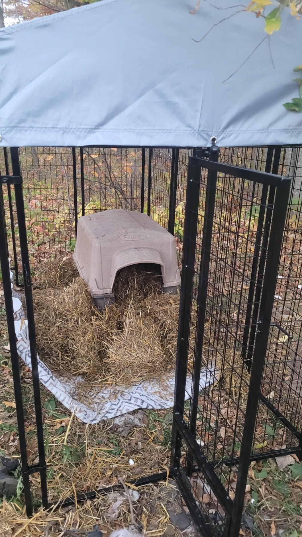 LEMBERI 8x4x6FT Outdoor Dog Kennel for Large Dogs, Heavy Duty customer photo 2