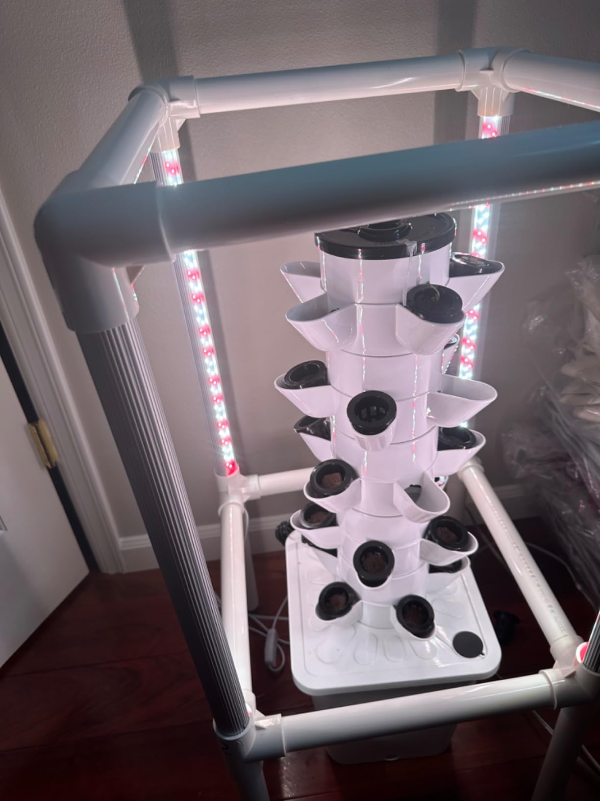 SJZX Hydroponics Growing System, Hydroponic Tower with Full-Spectrum Grow Lights, 5/14Tiers Indoor Outdoor Garden Planter, Vertical Home Gardening Germination Kits for Vegetables, Fruits, Herb (5L6H) customer photo 1