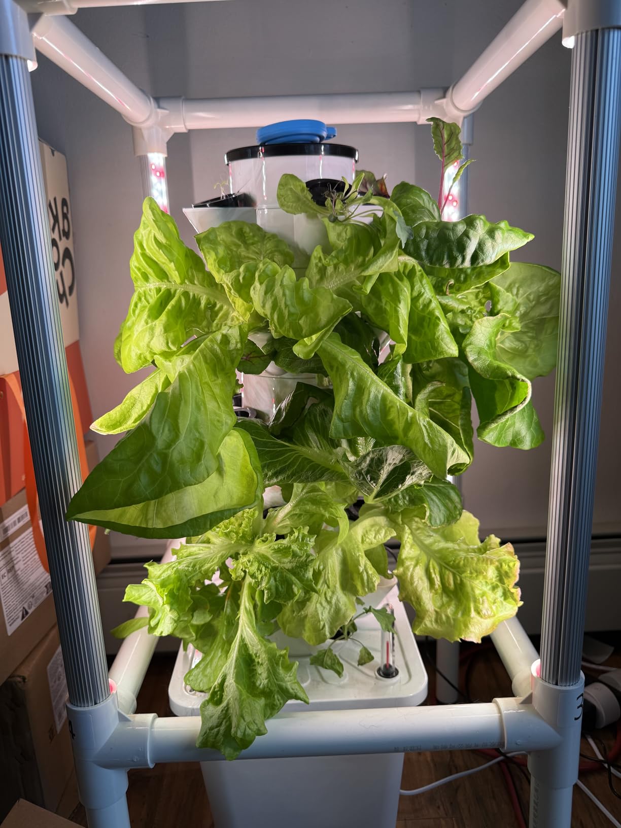 SJZX Hydroponics Growing System, Hydroponic Tower with Full-Spectrum Grow Lights, 5/14Tiers Indoor Outdoor Garden Planter, Vertical Home Gardening Germination Kits for Vegetables, Fruits, Herb (5L6H) customer photo 2