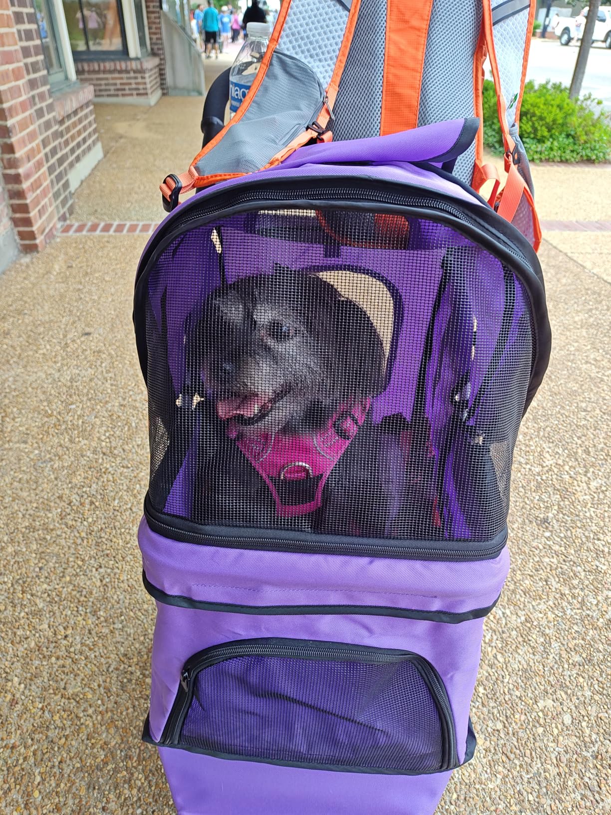 MoNiBloom Pet Stroller for Small/Medium Dogs and Cats up to 33 lbs, Black | Foldable Dog Stroller 3 Wheels Pet Strolling Cart w/ Storage Basket Cup Holder, Breathable and Visible Mesh for All-Season customer photo 1