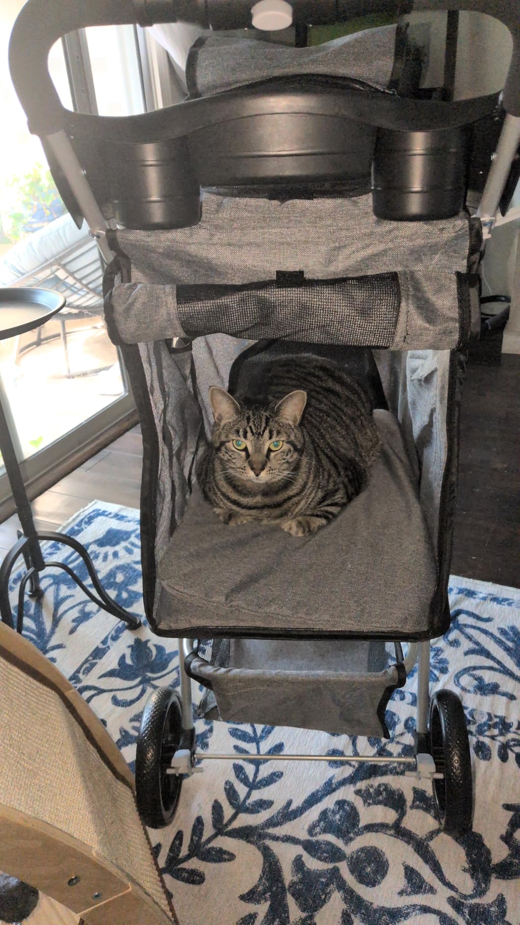MoNiBloom Pet Stroller for Small/Medium Dogs and Cats up to 33 lbs, Black | Foldable Dog Stroller 3 Wheels Pet Strolling Cart w/ Storage Basket Cup Holder, Breathable and Visible Mesh for All-Season customer photo 2