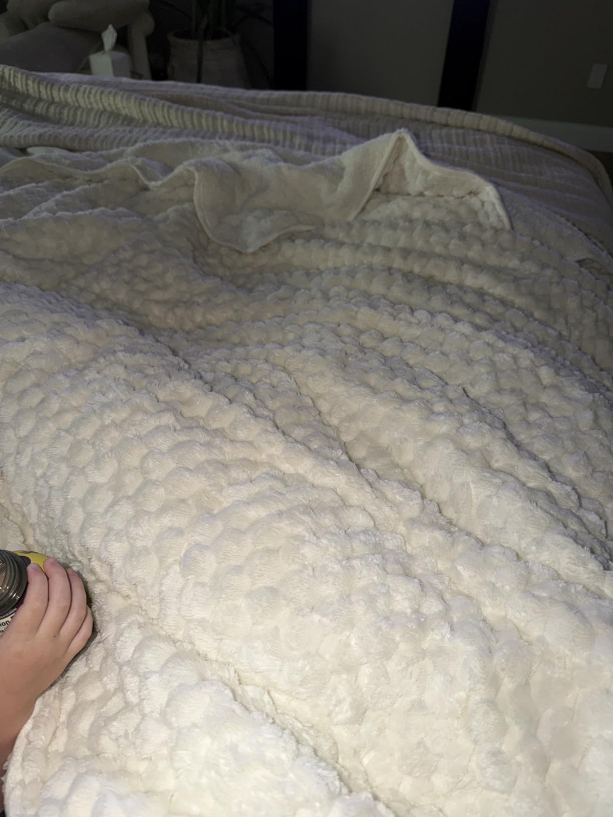 Weighted Blanket Queen Size 15lbs, Classy Soft Jacquard Sherpa Weighted Blankets for Sleep Natural and Calming, Fluffy Cozy Sofa Bed Blanket for Winter, Beige, 60 x 80 inches customer photo 1