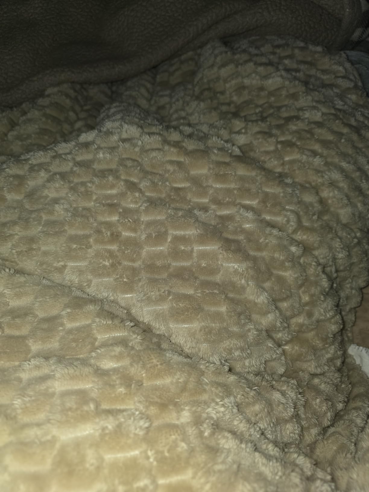 Weighted Blanket Queen Size 15lbs, Classy Soft Jacquard Sherpa Weighted Blankets for Sleep Natural and Calming, Fluffy Cozy Sofa Bed Blanket for Winter, Beige, 60 x 80 inches customer photo 2