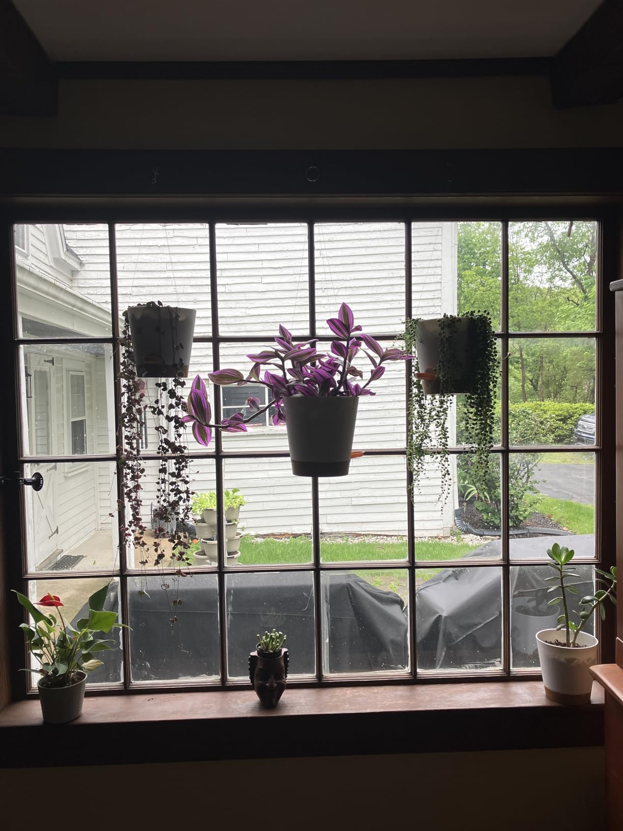 YNNICO Indoor Self Watering Planters with Drainage Holes and Saucers, 8, 7, 6.5, 6, 5.5, 5 Inches, Black, 6 Pots customer photo 1