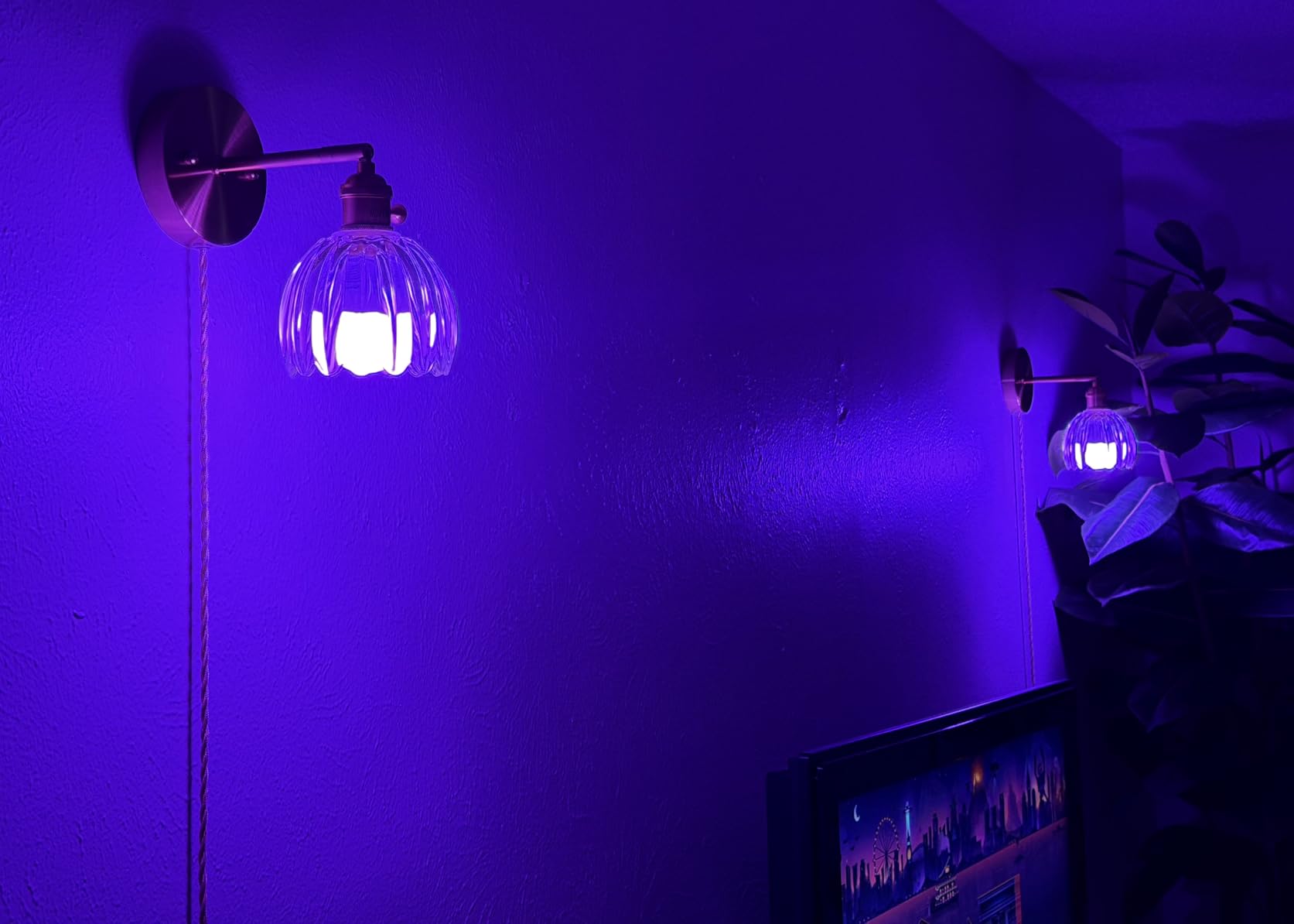 Smart A19 LED Light Bulb, Color Changing, 9W (60W Equivalent), 800LM, Works with Alexa Only customer photo 1