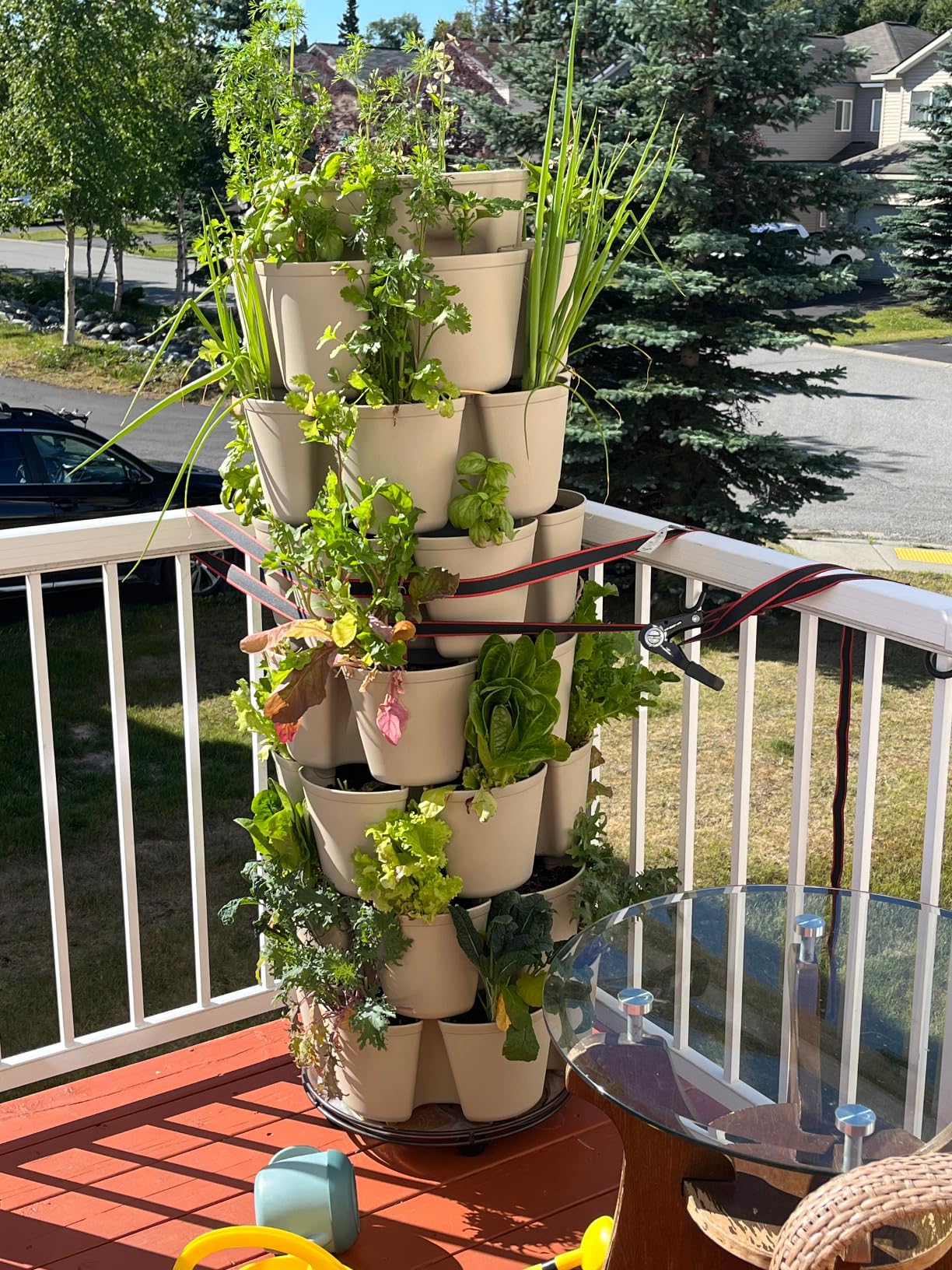 Greenstalk 7 Tier Leaf Vertical Planter for Growing a Variety of Strawberries, Vegetables, Herbs, & Flowers (Evergreen) customer photo 2
