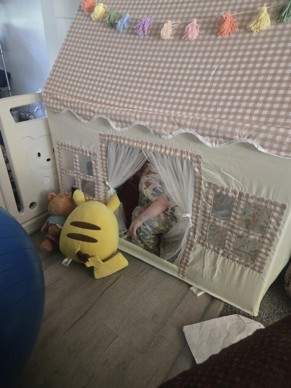 Kids Play Tent Indoor: with Mat, Tassel Garland - Girl Tent Indoor Playhouse for Kids Toys for Boy Girl Birthday Gift customer photo 2