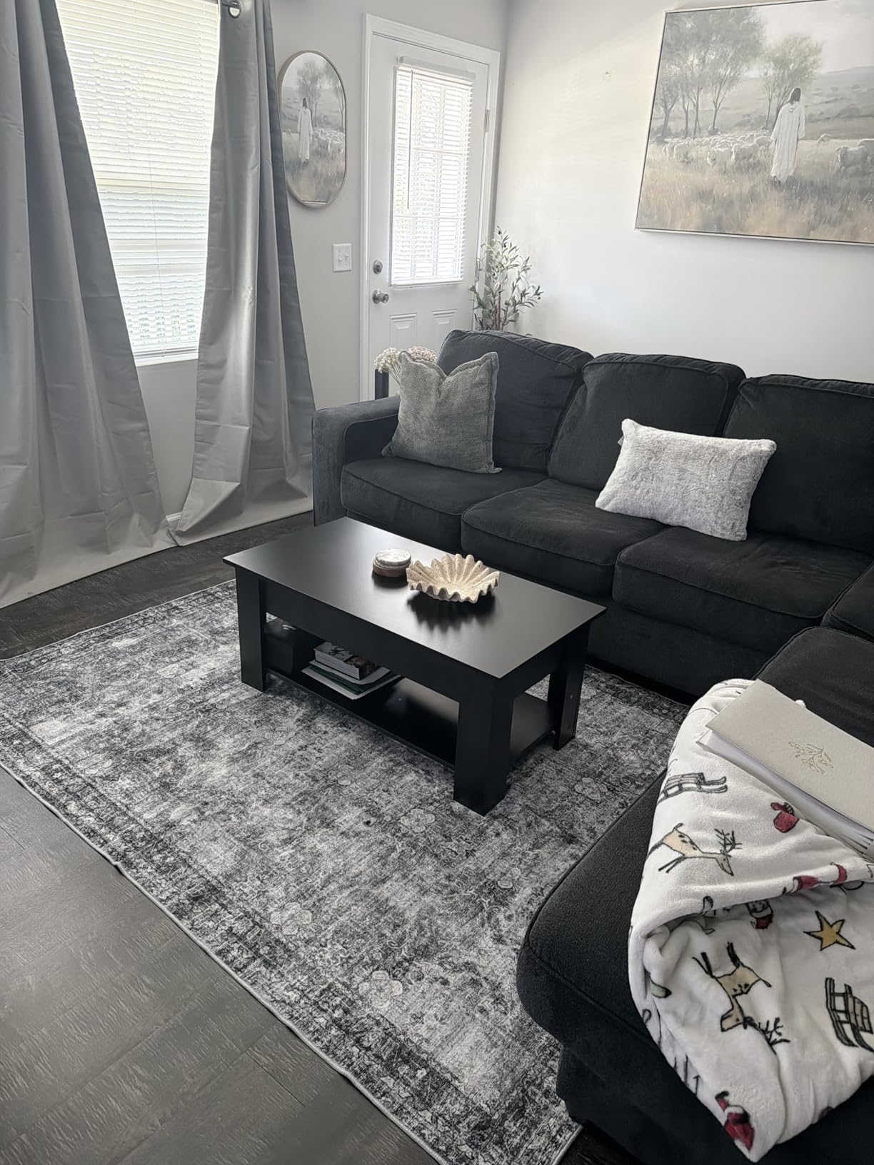 CHAMPLANT Area Rug 4x6 Washable Rug Gray Vintage Traditional Floor Cover Foldable Thin Retro Accent Indoor Distressed Non Slip Carpet Floral Print Mat Bedroom Living Room Bathroom customer photo 2