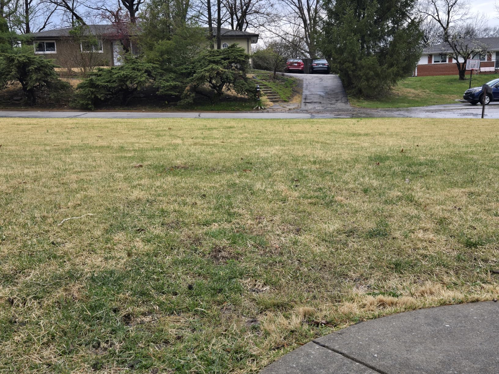 2-in-1 Dethatcher & 16-Inch Scarifier Electric Corded, 15 Amp Copper Motor, Electric Lawn Dethatcher with 5-Position Depth Adjustment, 14.5 gal Thatch Bag,Walk Behind for Yard Lawn Garden Care customer photo 2
