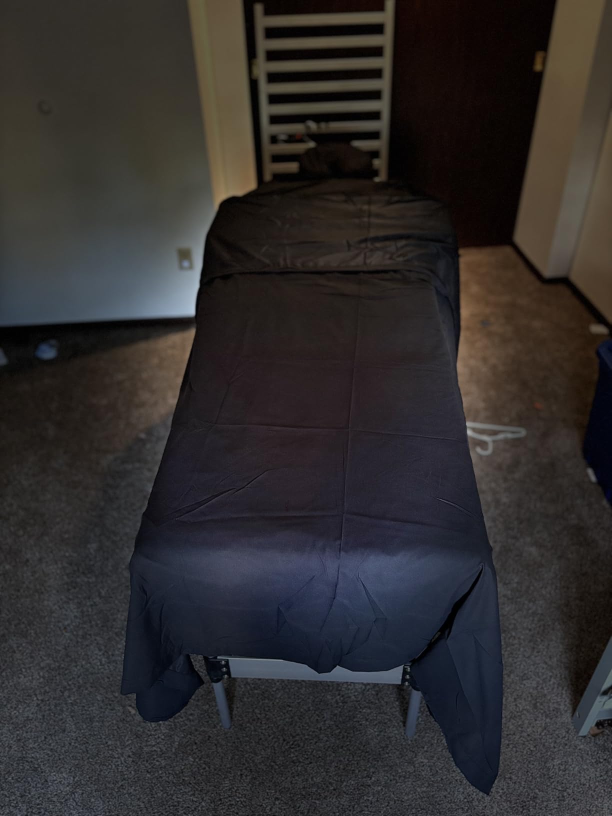 Brelley Massage Table Portable Professional 3 Sections Reclining Massage Couch, Aluminum Adjustable Esthetician Bed Tattoo Table SPA Lash Salon Bed with Carrying Bag customer photo 2