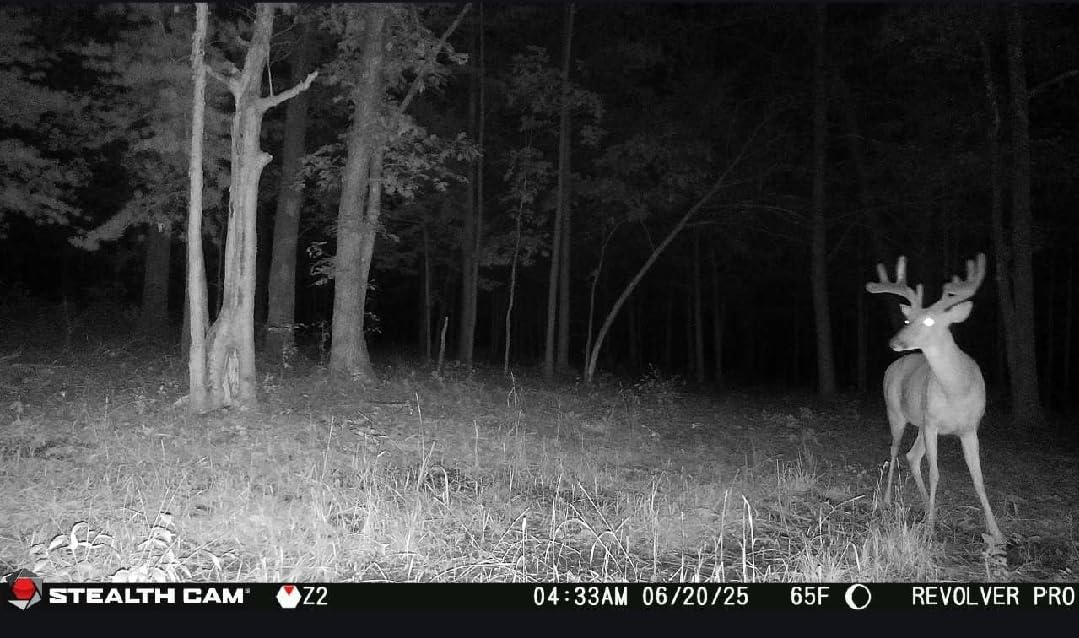 Stealth Cam Revolver PRO 40MP Photo 1440P at 30 FPS QHD Video 0.4 Sec Trigger Speed 360-Degree Panoramic View Built-in GPS Hunting Cellular Trail Camera customer photo 1