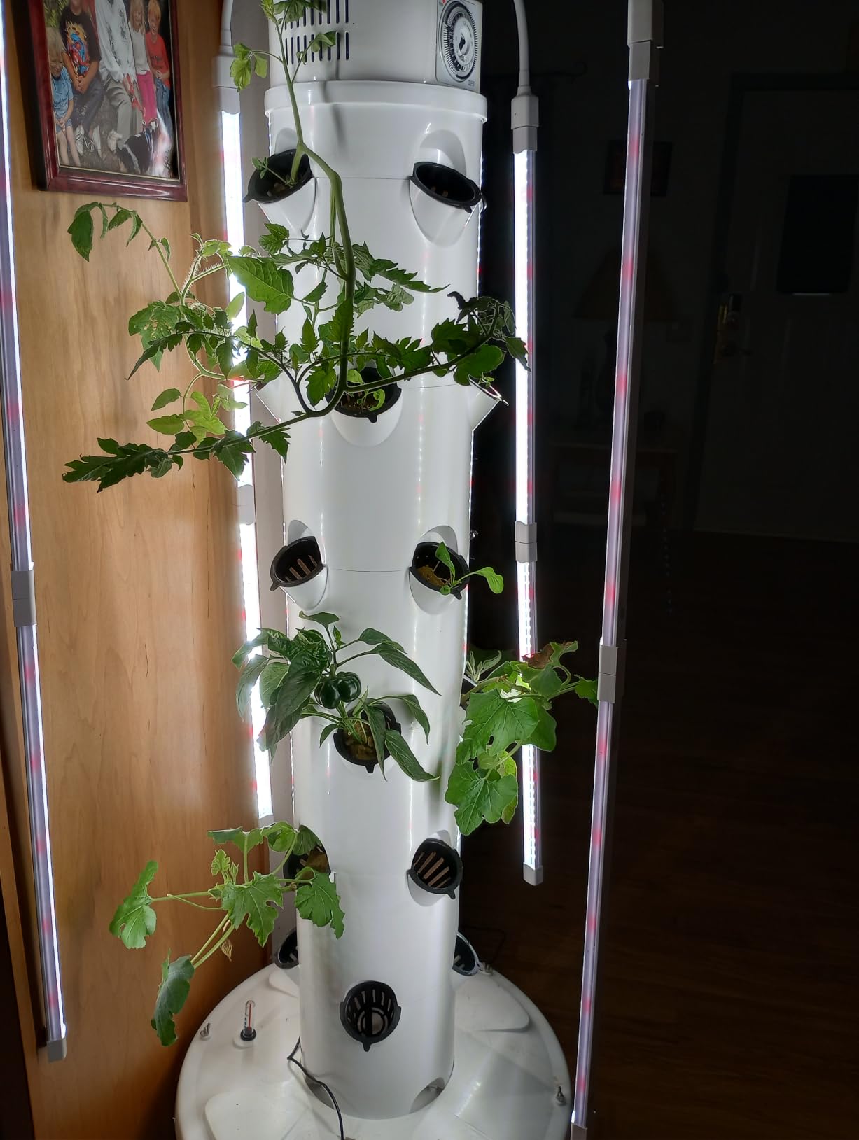 GX Hydroponic Tower | Vertical Planter Tower | Hydroponics Growing System Kit | Food Grade with 24 Net Pots (with LED Grow Lights) customer photo 1