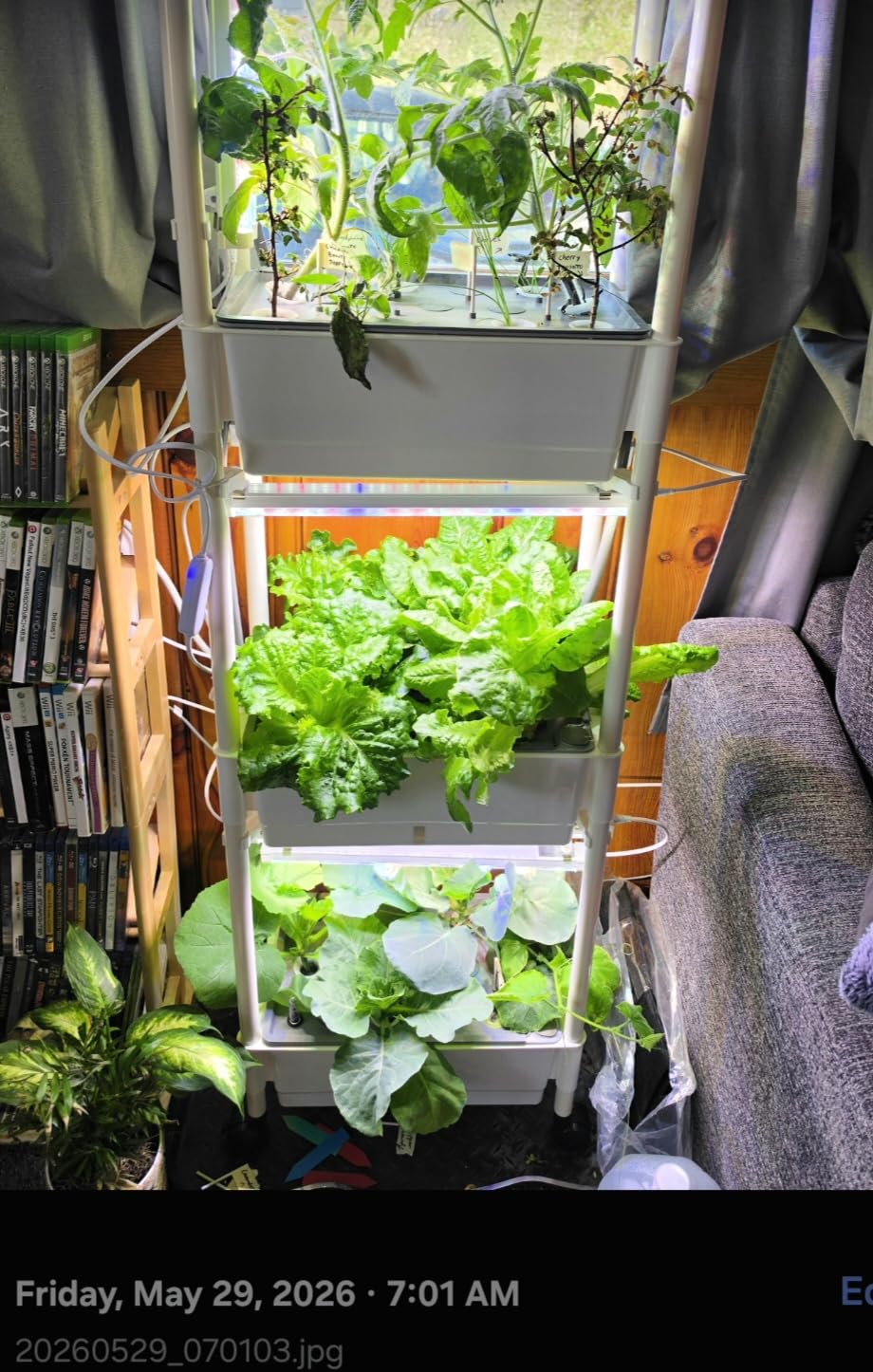 Hydroponics Growing System, AOONEG 42Pods Indoor Herb Garden with LED Grow Light, Hydroponics Growing System Kit with Automatic Timer, Pump System, Adjustable Height (No Seed, Glossy White, 3Layer-42Pods) customer photo 2