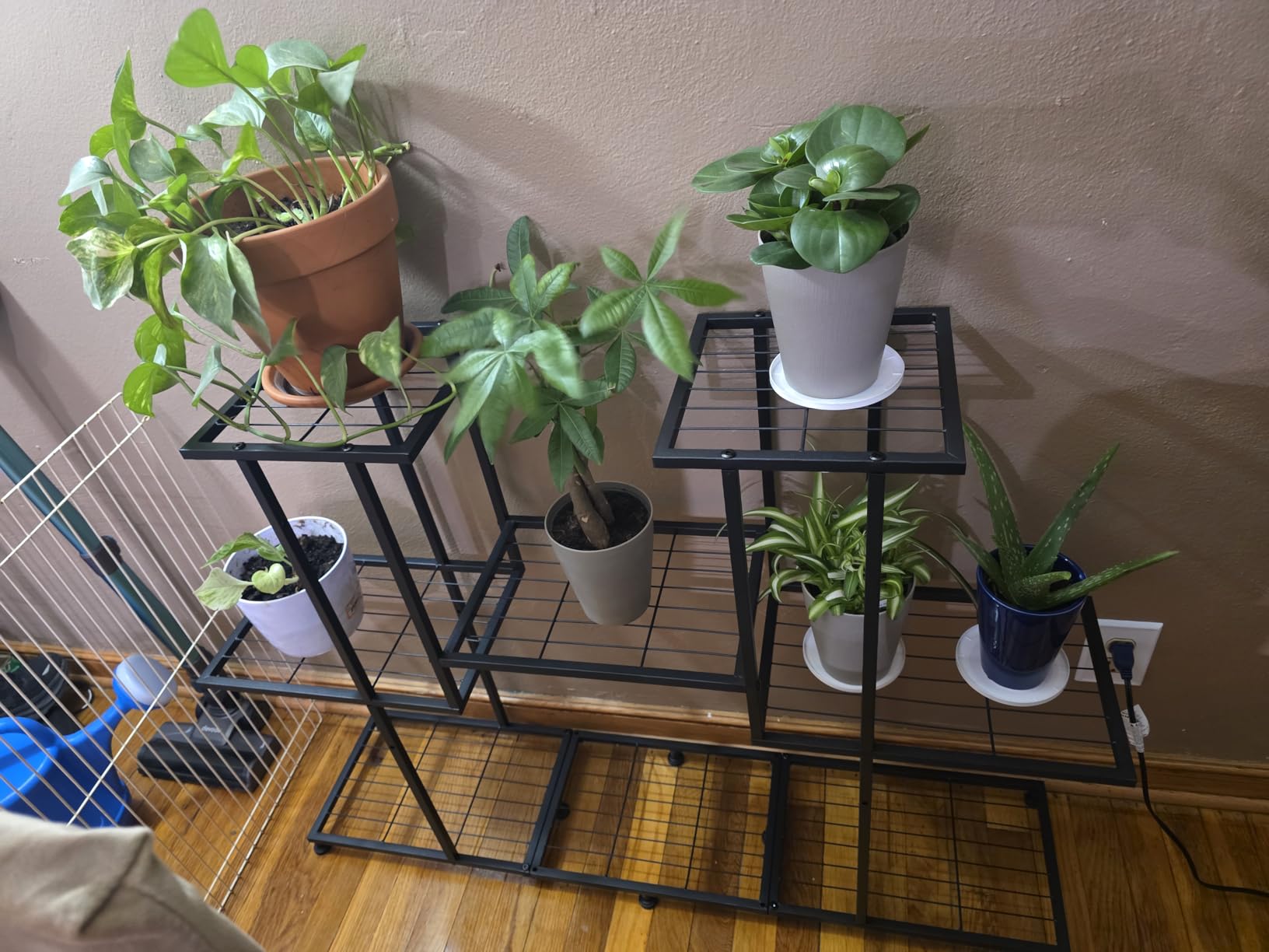 Twhep Metal Plant Stand, 5 Tiers Multifunctional Plant Stands for Indoor Plants, Decorative Black Steel Plant Shelf for Indoor Patio Garden Balcony and Yard (4 tiers 12 pots) customer photo 2