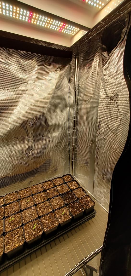 Gorilla Grow Tent 2x2.5 Fixed Height Indoor Grow Tent, 6'6