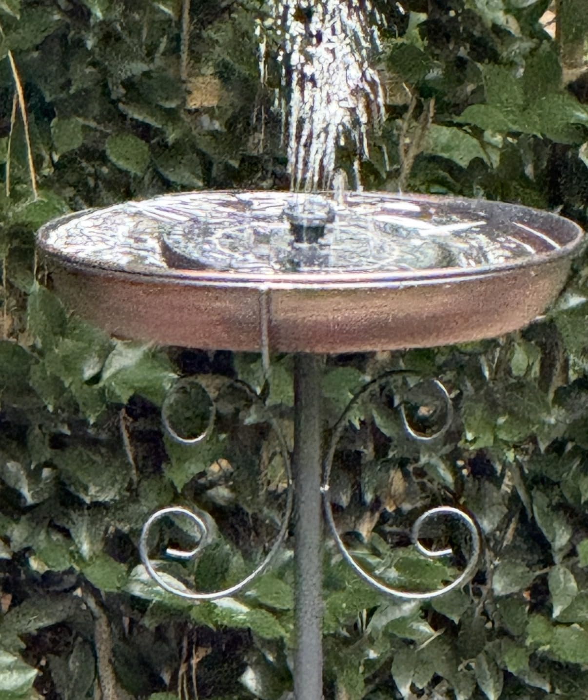 Daoeny 35In Metal Bird Bath for Outside, Vintage Freestanding Birdbaths & Birdfeeder, Bird Baths Feeder Bowl for Outdoors Garden Patio Yard Lawn Decor, Upgraded 5-Pronged Base (Antique Bronze) customer photo 2