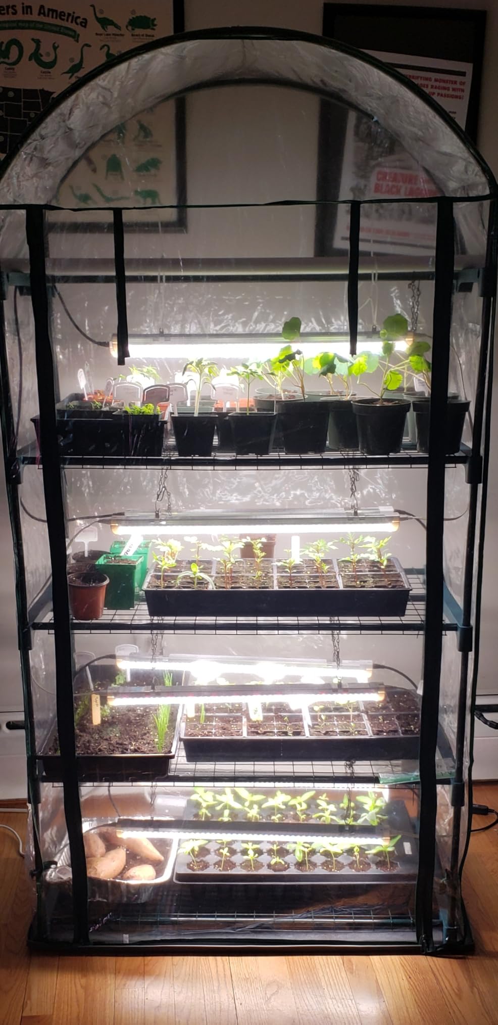 Bstrip Indoor Greenhouse with Grow Light, Mini Green House with 4 Pack 20W Full Spectrum Plant Lights with Timer, Plant Shelf with Tent for Indoor Plant, Seed Starting, Seed Tray, 27.2