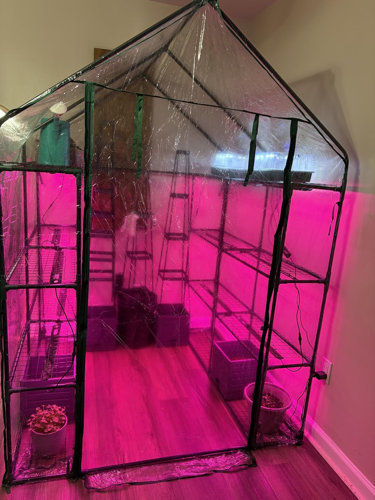 Bstrip Indoor Greenhouse with Grow Light, Mini Green House with 4 Pack 20W Full Spectrum Plant Lights with Timer, Plant Shelf with Tent for Indoor Plant, Seed Starting, Seed Tray, 27.2
