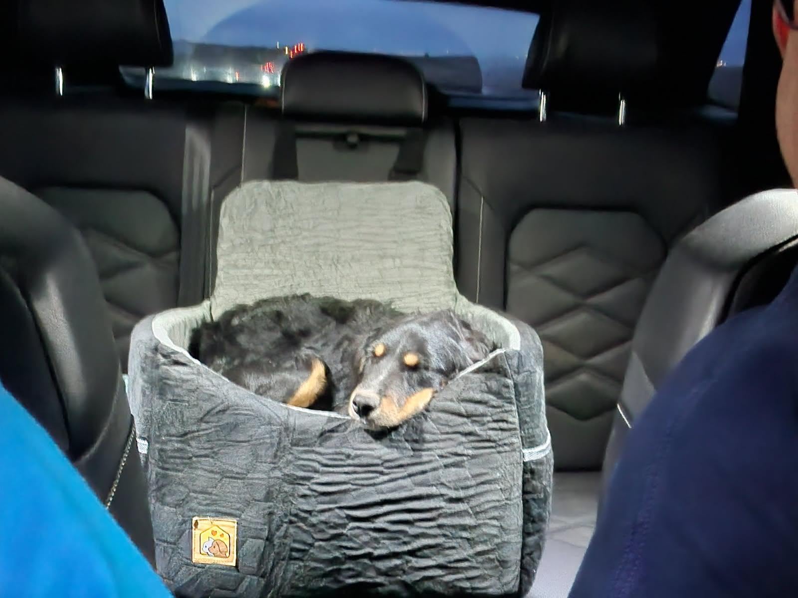 Dog Car Seat for Small/Medium Dogs, Memory Foam Dog Booster Seat, Travel Safety Per Car Seat with Washable Removable Cover, Storage Pockets for Dogs up to 35 lbs(Gray) customer photo 1