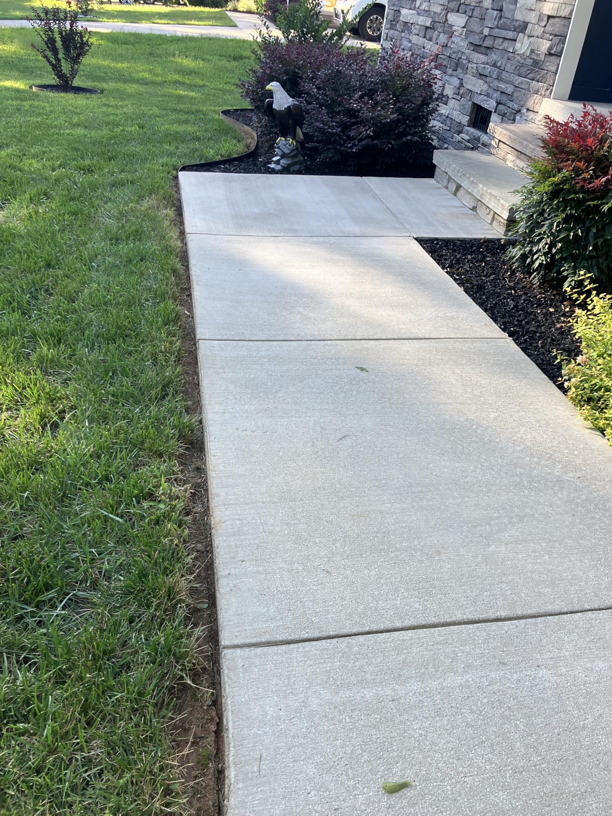 EGO Power+ ME0820 8-in Multi-Head Edger with Carbon Fiber Shaft and Power Head PH1420, Pairs Multi-Head System, Battery and Charger Not Included. customer photo 1