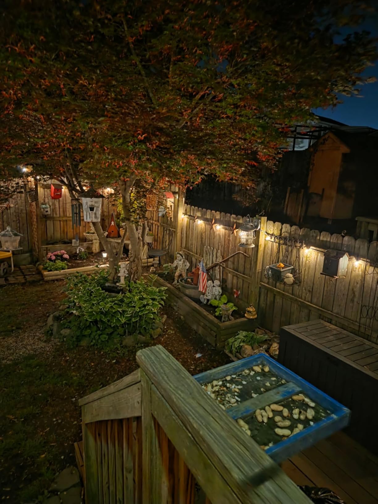 addlon 102FT(96+6) Solar String Lights Outdoor with Remote, Waterproof Patio Lights with 30 Shatterproof LED Bulbs, 30H+ Long-Lasting Dimmable & Timable Solar Light for Backyard Camping Garden Decor customer photo 1