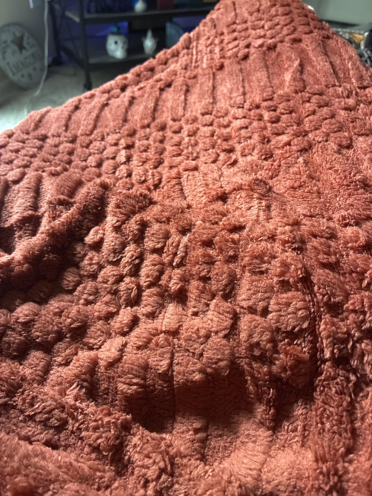 50x70 Inch Rust Throw Blanket - Soft & Fluffy Fleece, Cute & Aesthetic, Perfect for Sofa, Couch, Chair, Bed, Living Room & Bedroom, All-Season Use, Plush & Cozy Decorative Blanket customer photo 2