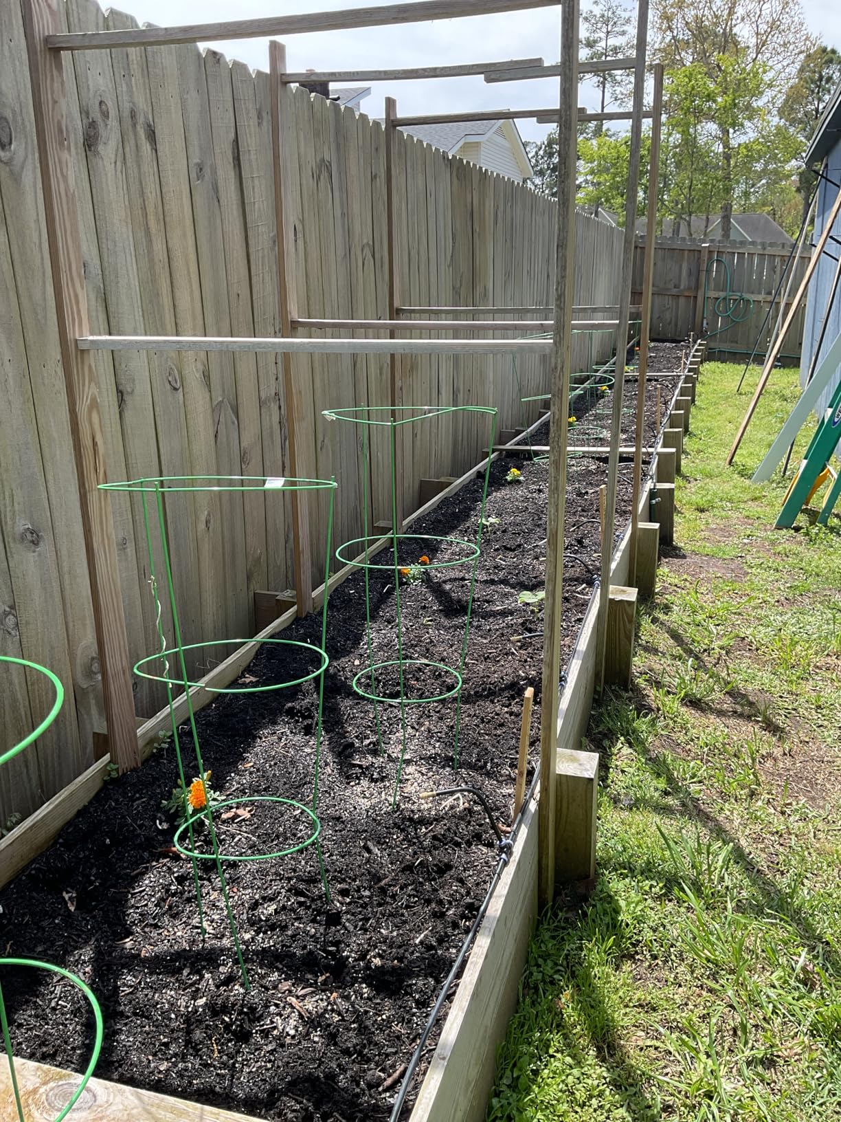 Thiswing 360° Adjustable Drip Irrigation System - 50 FT Garden Watering System with 16 Nozzles, Raised Bed Sprinkler Irrigation System, Garden Mister for Yard, Lawn, Plants, 5/16