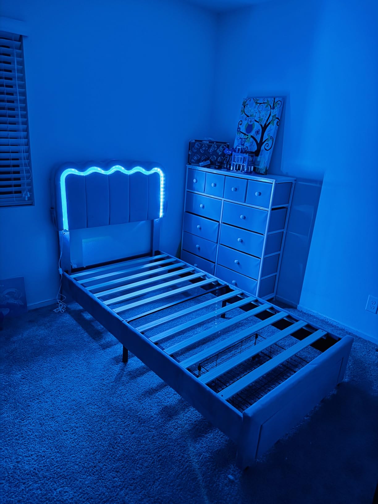 Twin Upholstered LED Bed Frame with Storage Drawer and Adjustable Chic Double Wavy Headboard, Velvet Princess Platform Bed for Girls/Kids, Solid Wood Slats Support, No Box Spring Needed, Pink customer photo 2