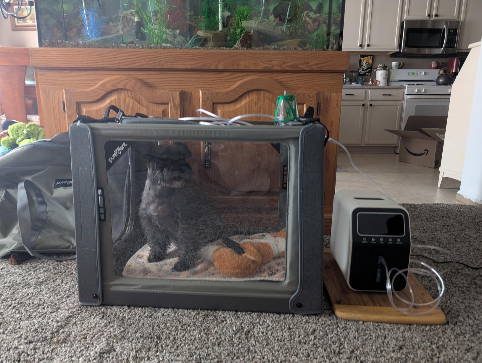 PureVent Pet Oxygen Chamber - Safe Veterinary-Grade Oxygen Therapy Cage for Dogs, Cats, Birds and Animals - Built-in Ventilation for Pets up to 30lbs customer photo 1