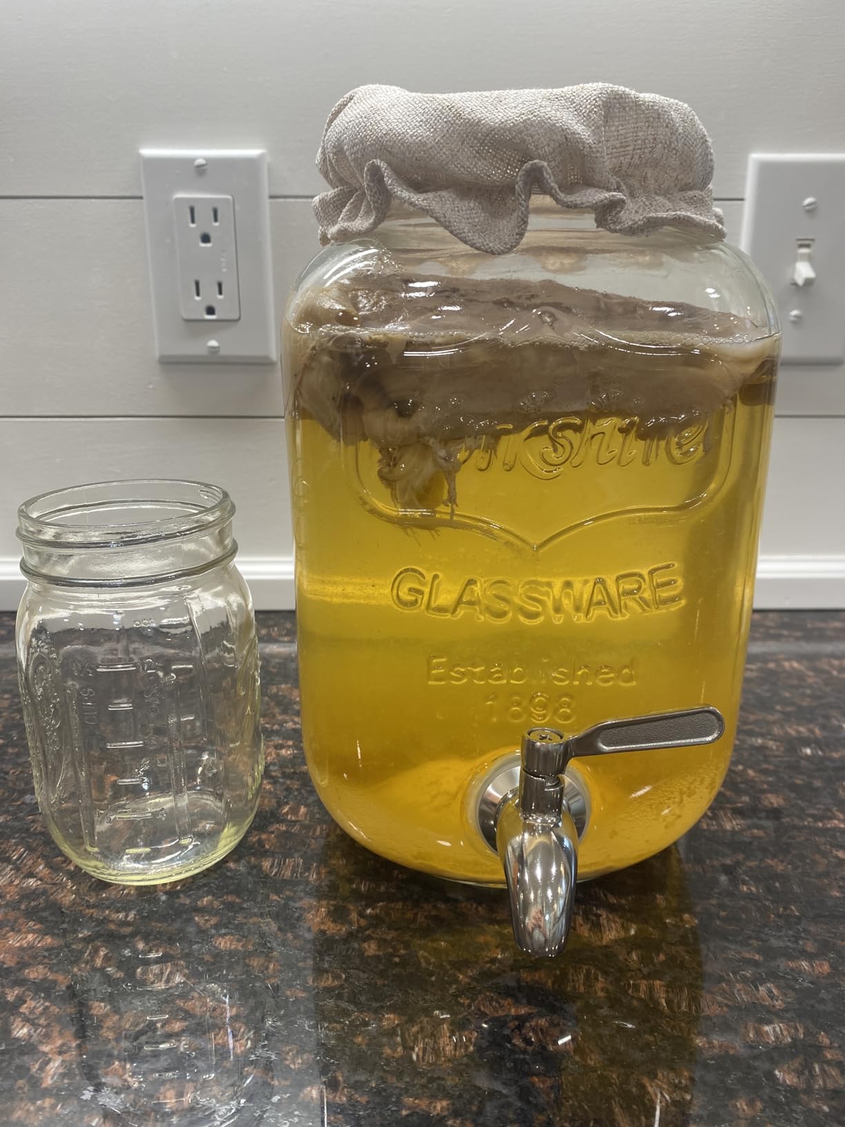 1 Gallon Kombucha Jar Starter Kit with Spigot, Continuous Kombucha Brewing Jar Kit, Glass Kombucha Starter Kit with Stainless Steel Mesh Filter (1GKJ) customer photo 2